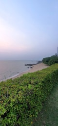 a view of a beach with a plane in the distance