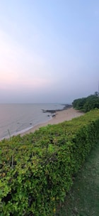 a view of a beach with a plane in the distance