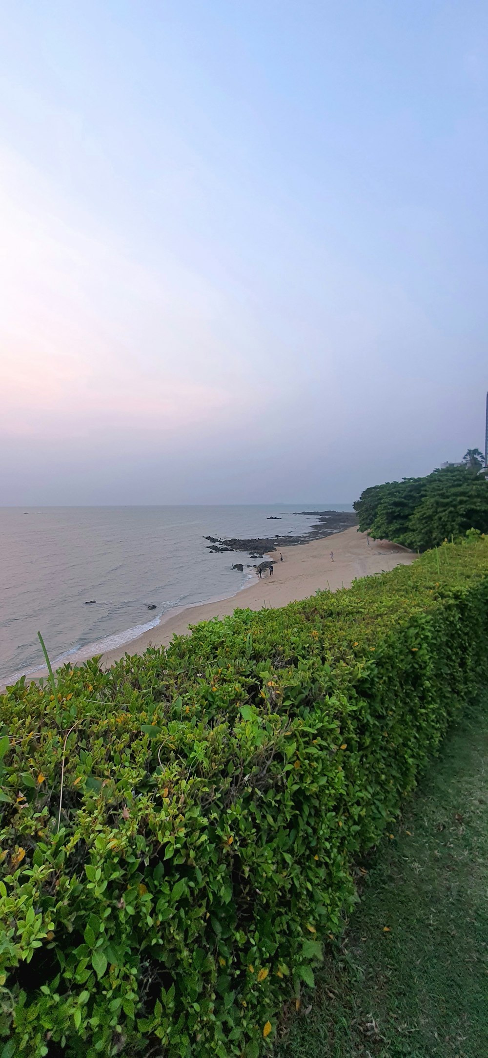 a view of a beach with a plane in the distance