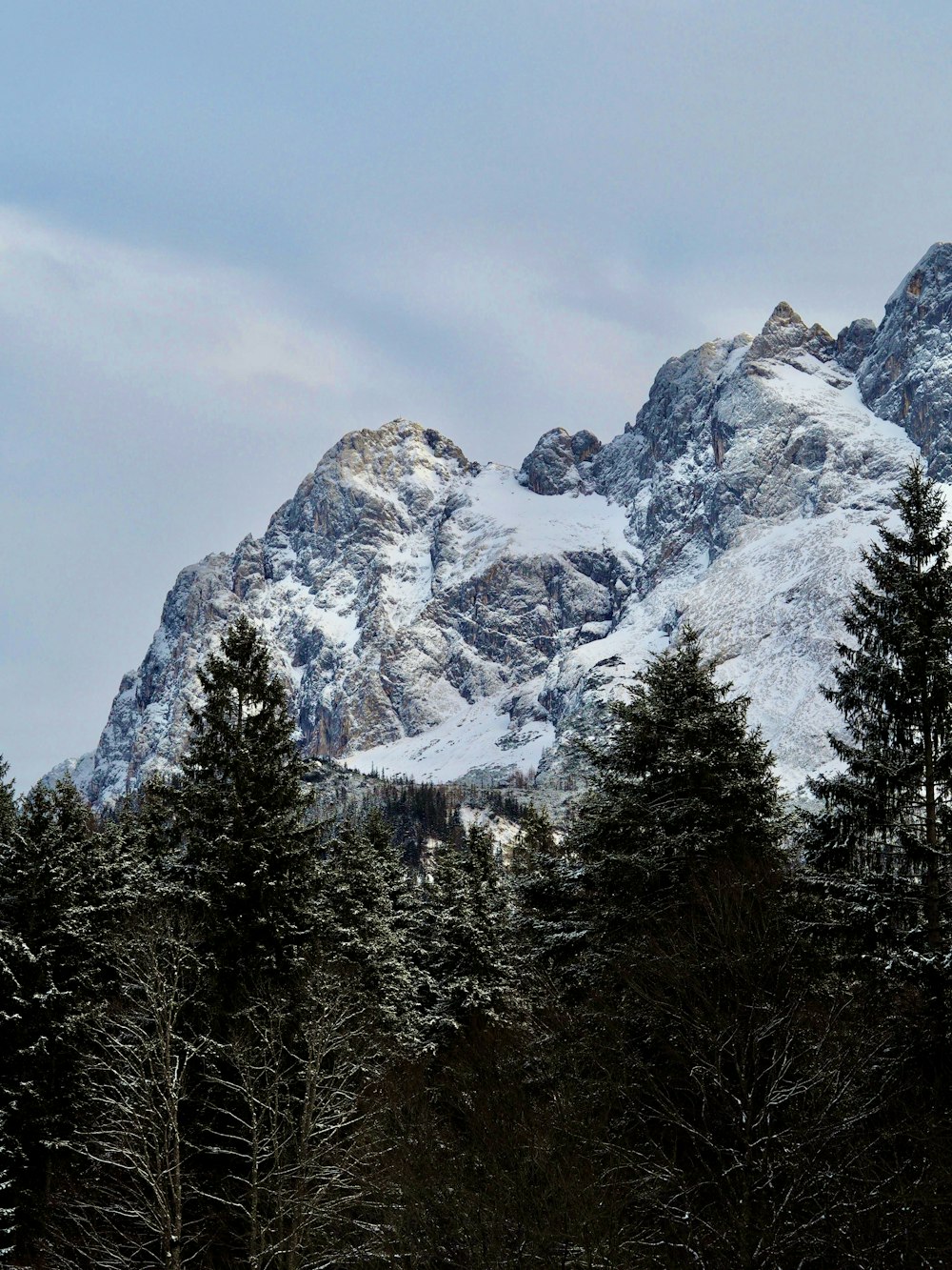 a snow covered mountain with trees in the foreground