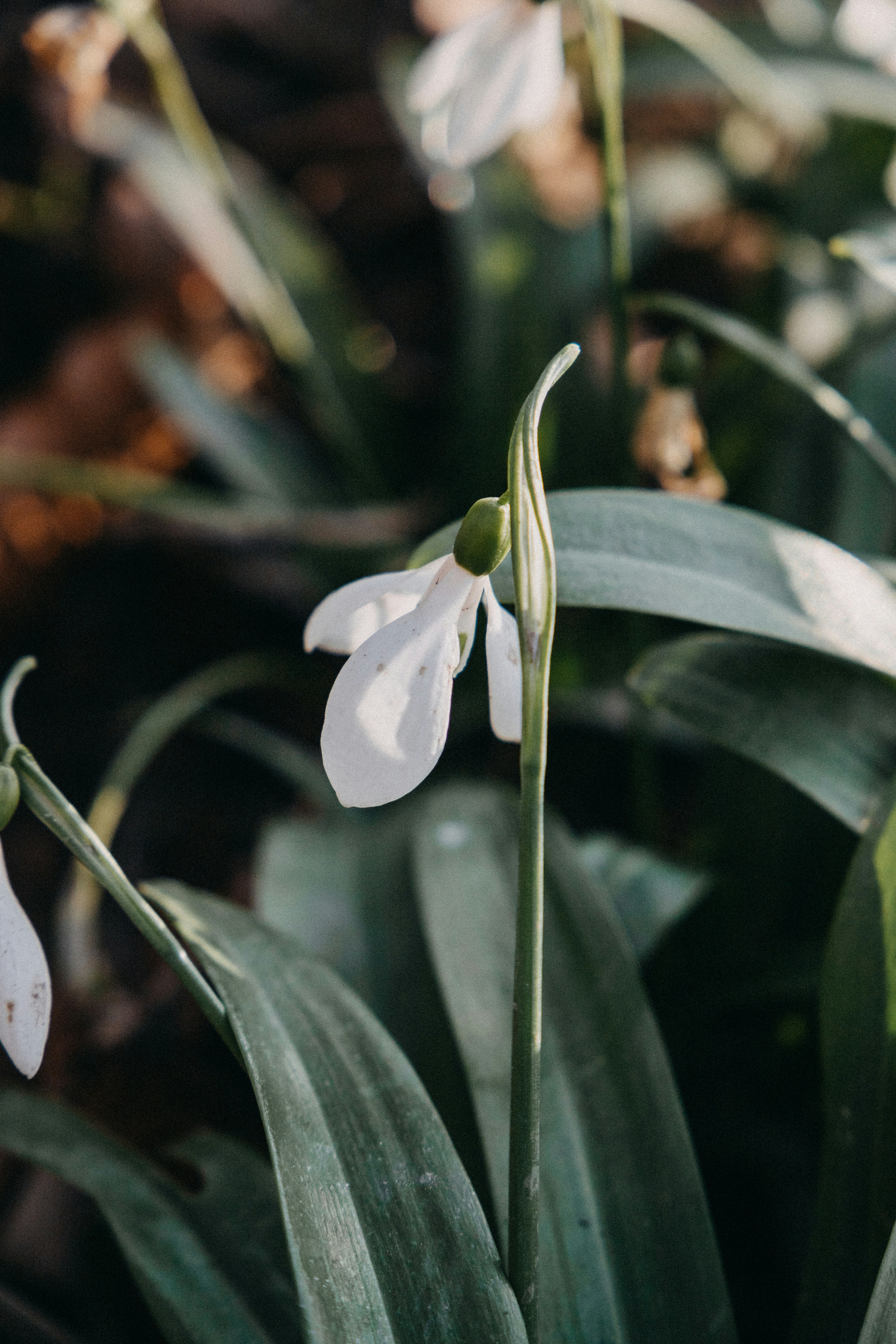 Photo by katharina_bill