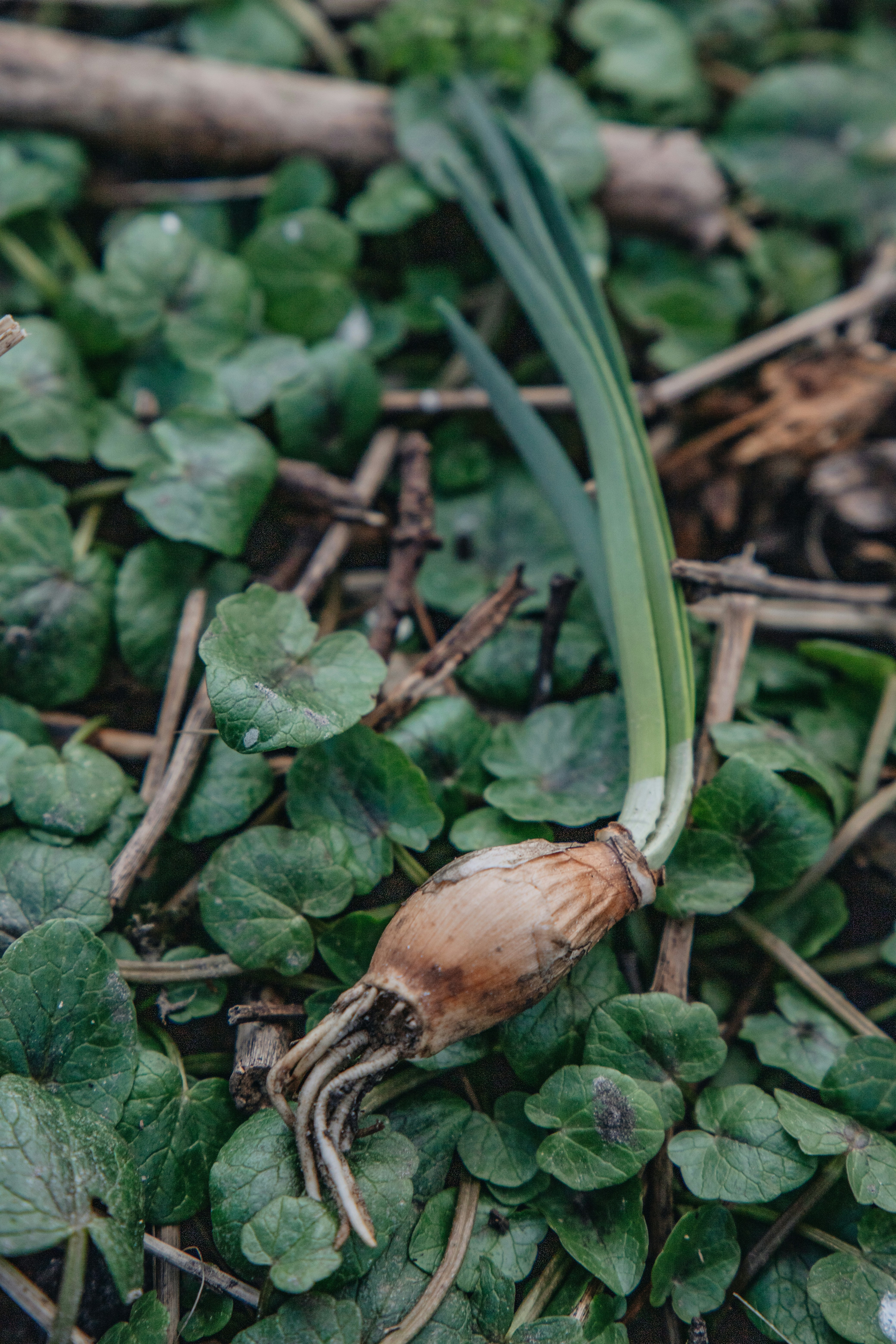 Photo by katharina_bill