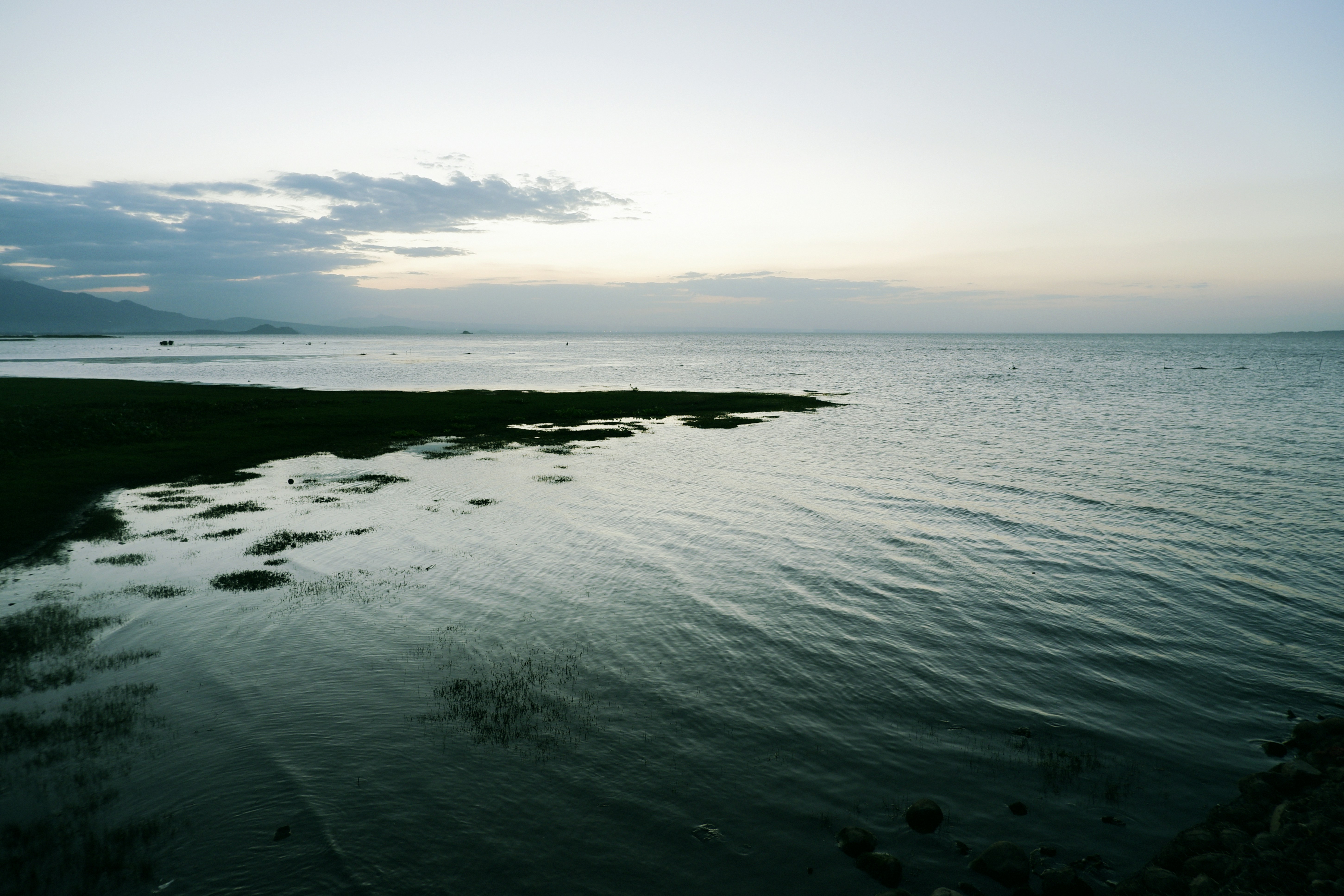 Photo by potfriend303