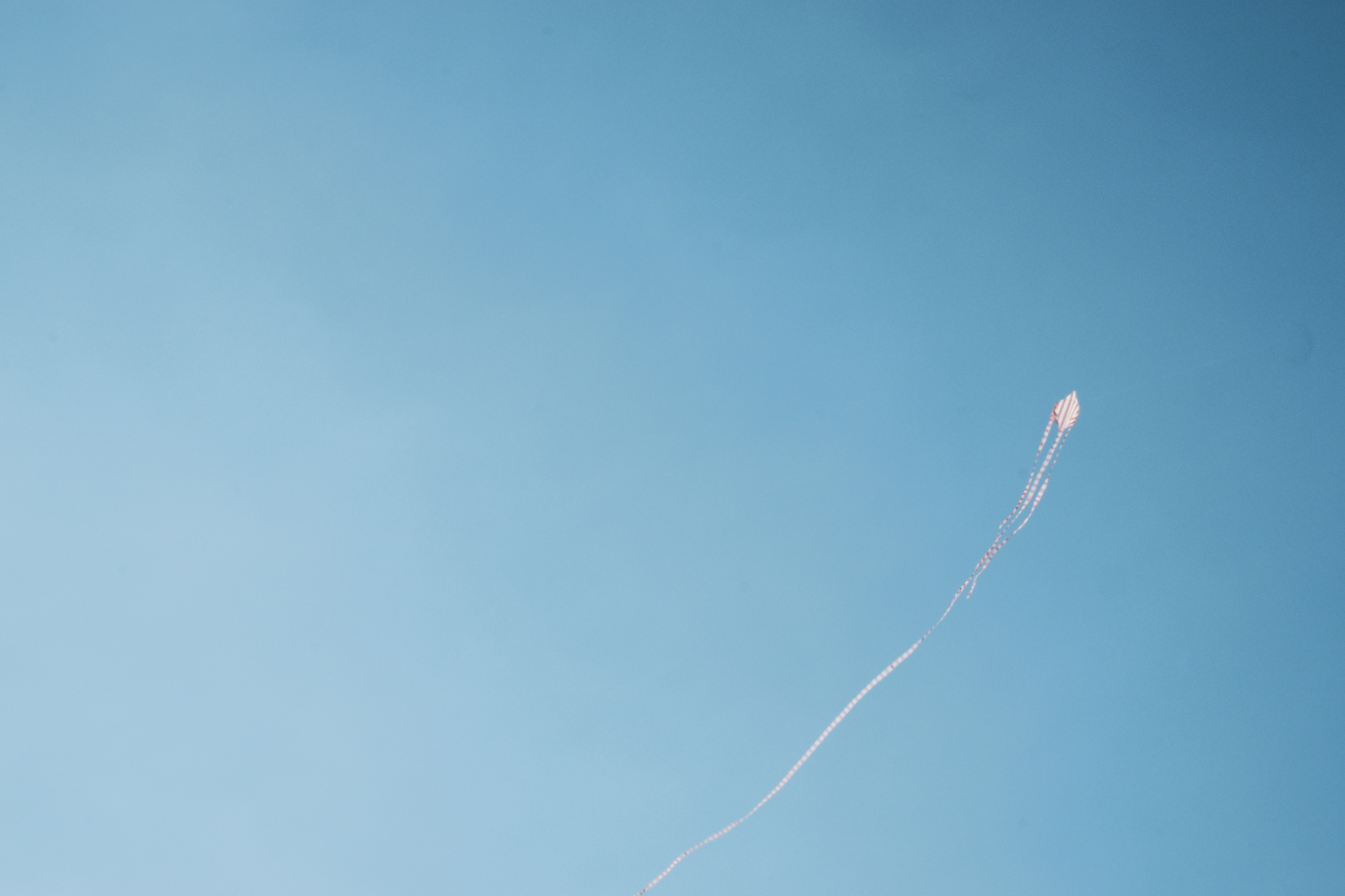 The Evolution of Niche Perfume Launches in 2026: Micro‑Branding, Pop‑Ups, and Creator Commerce