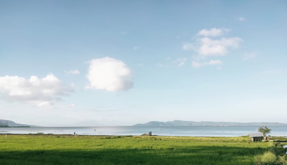 a grassy field with a body of water in the background