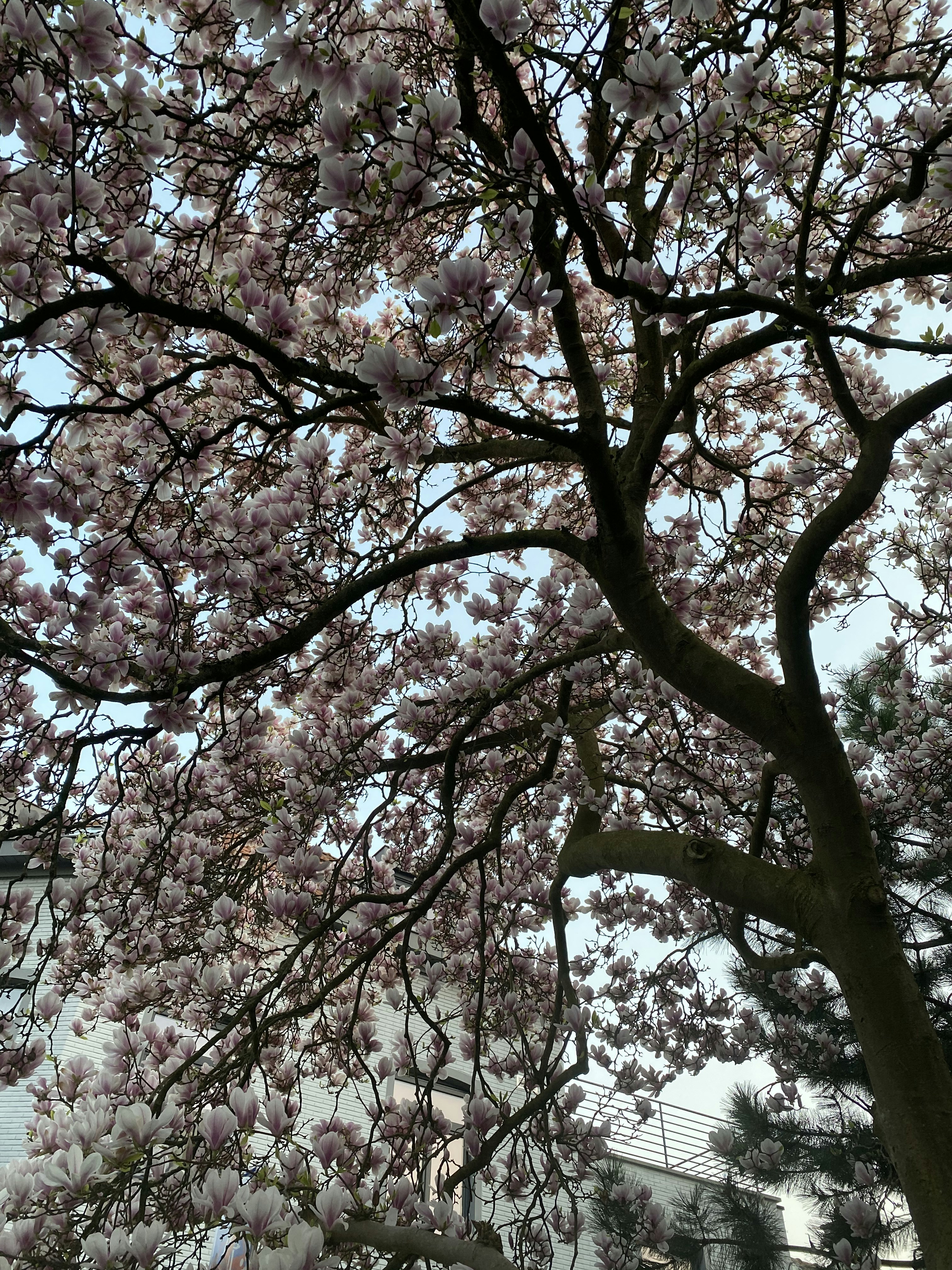 Photo by jkaragyaugova