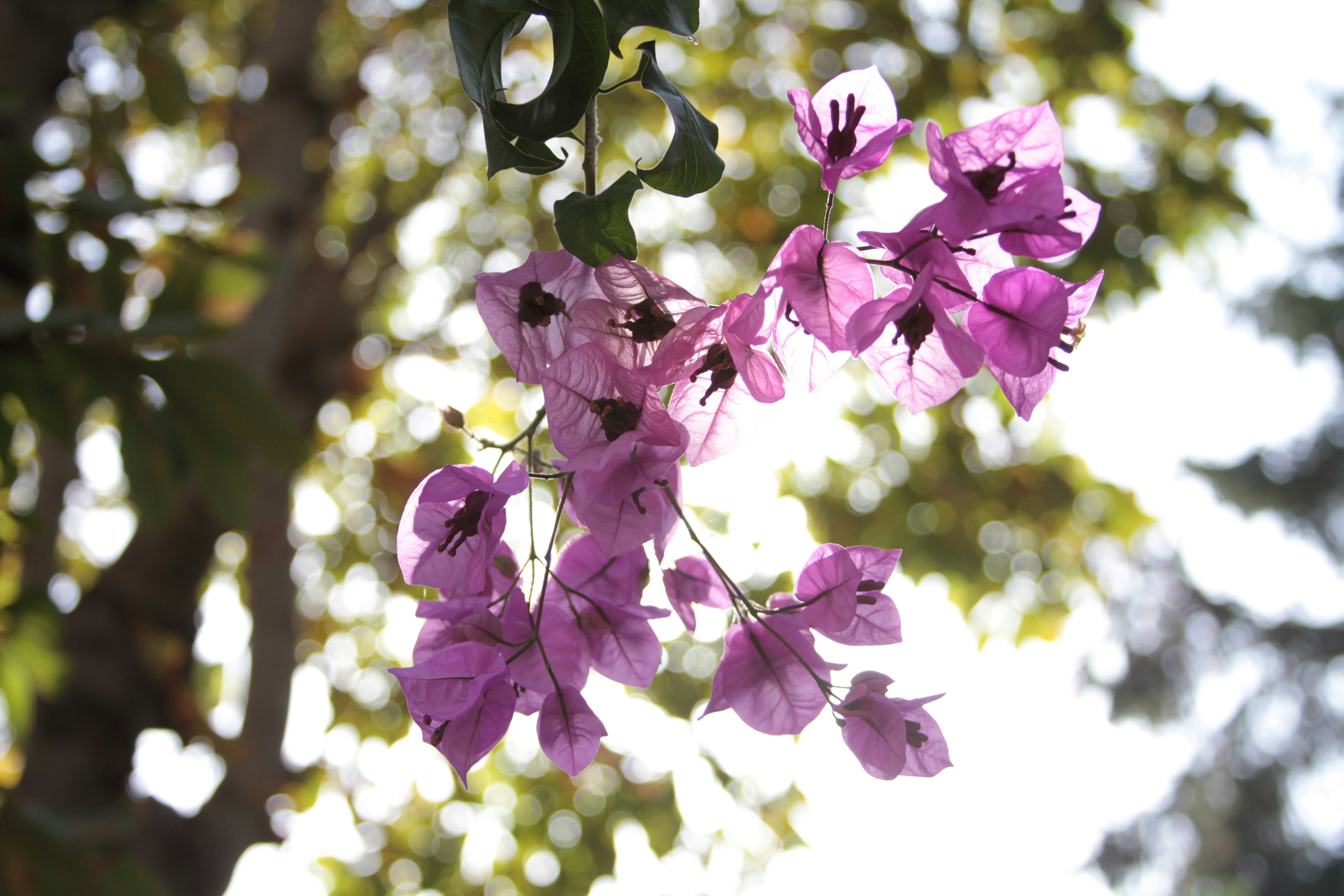 Photo by serhaterdogan