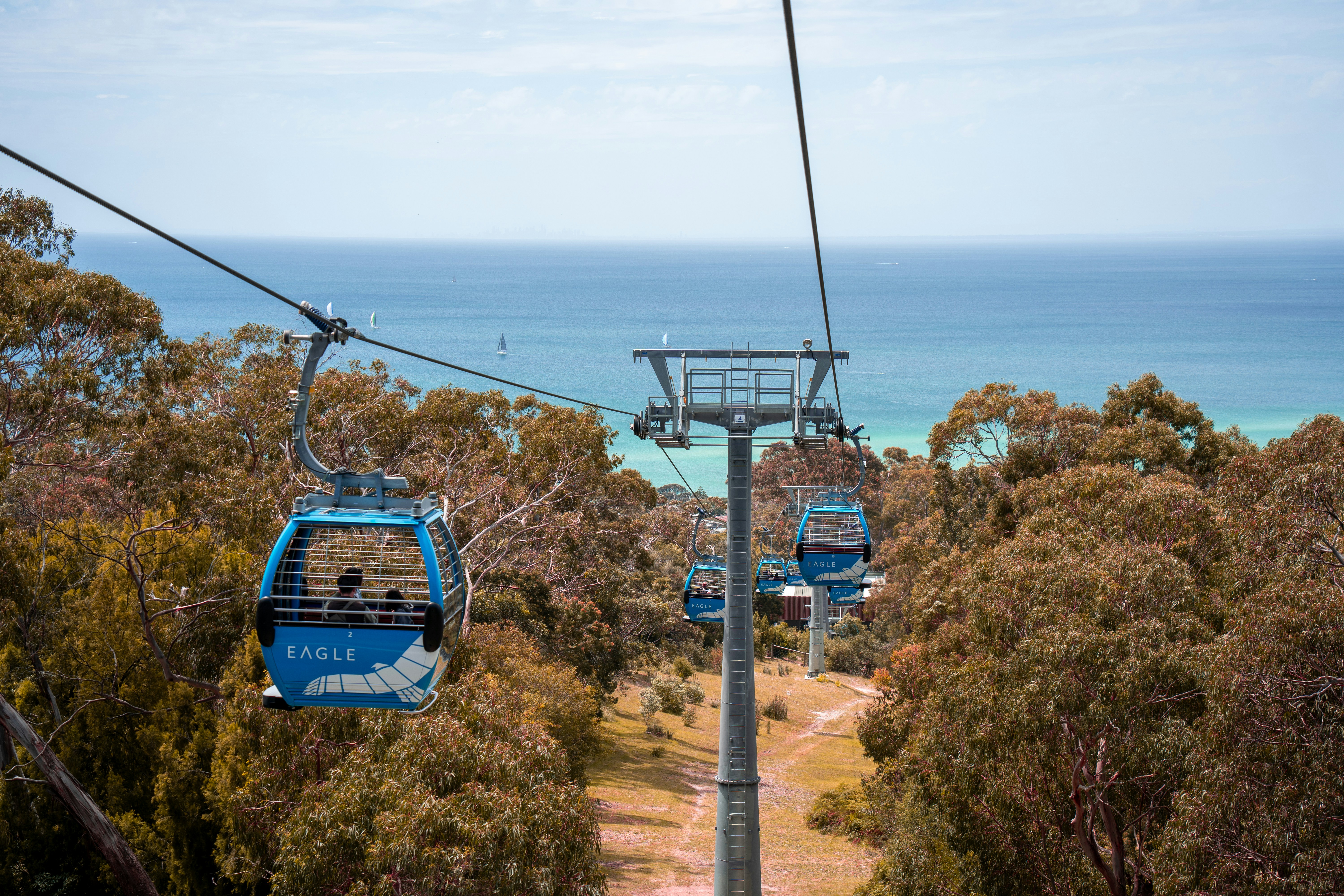 a couple of blue gondolas sitting on top of a lush green hillside