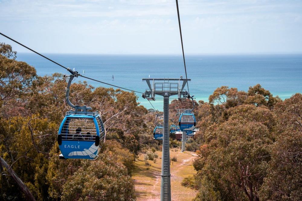 a couple of blue gondolas sitting on top of a lush green hillside