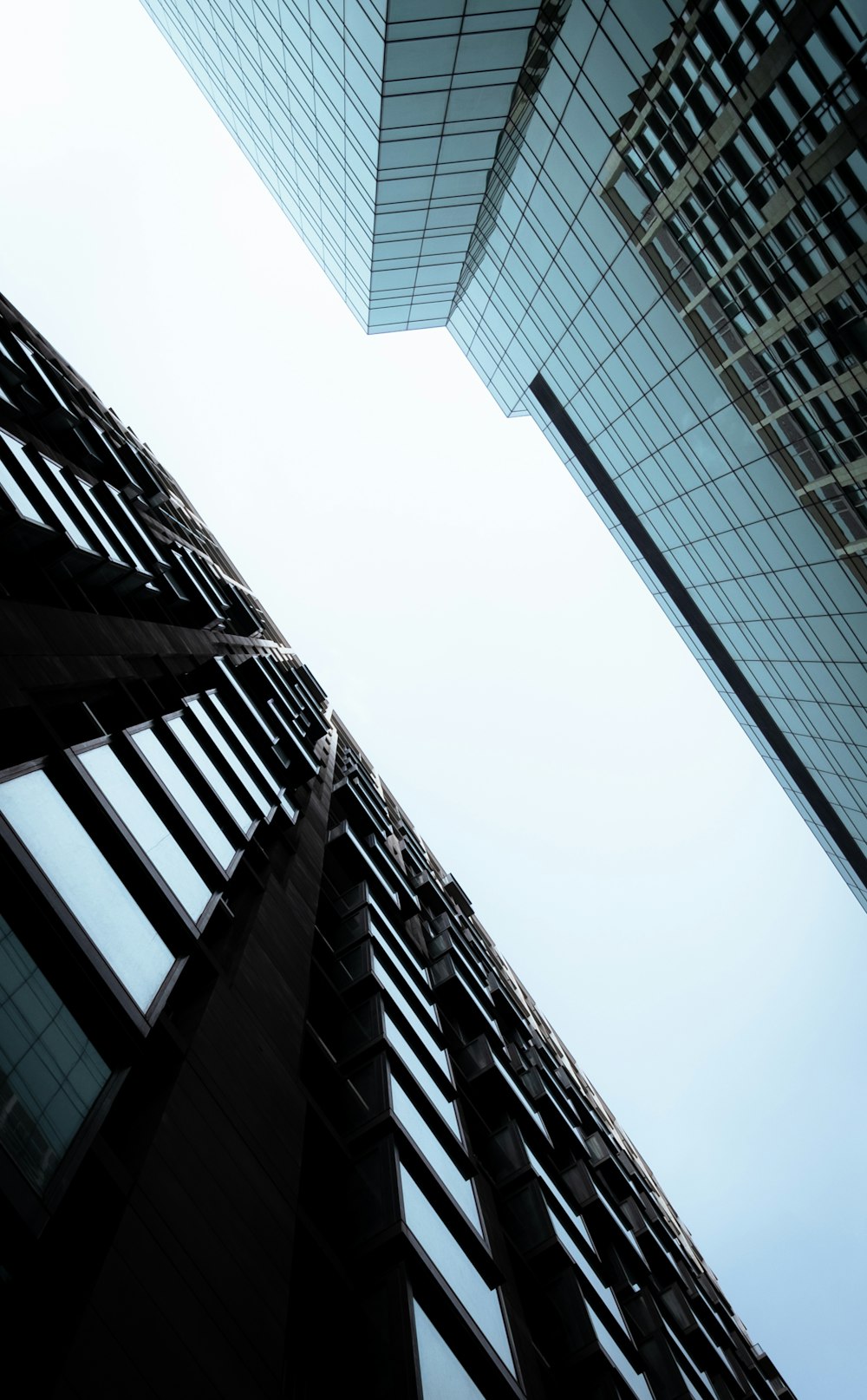 looking up at tall buildings in a city