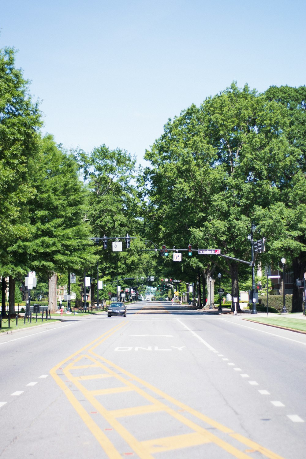 a car driving down a street with lots of trees