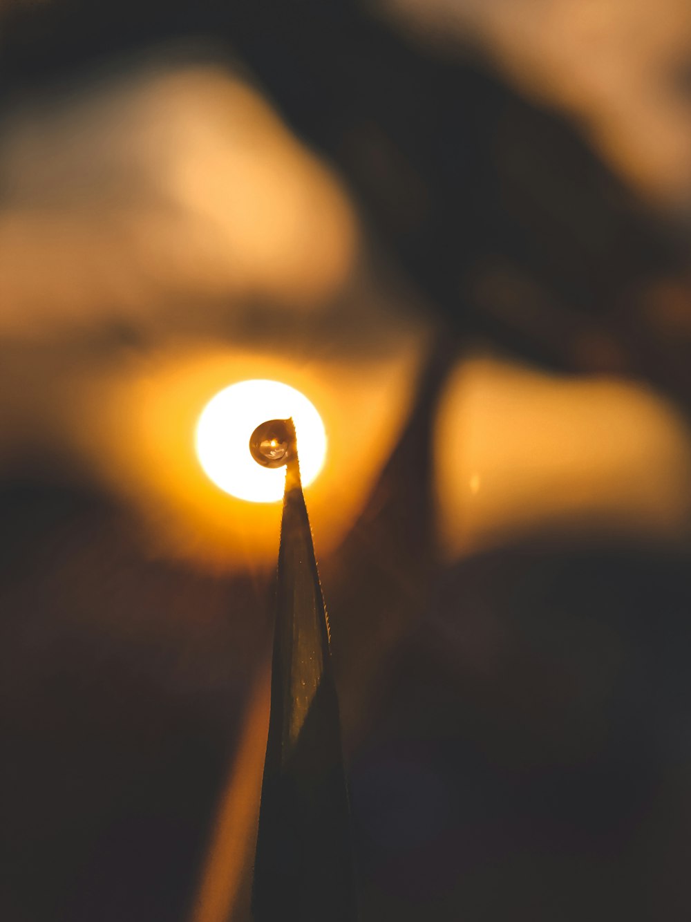 a close up of a light bulb with the sun in the background
