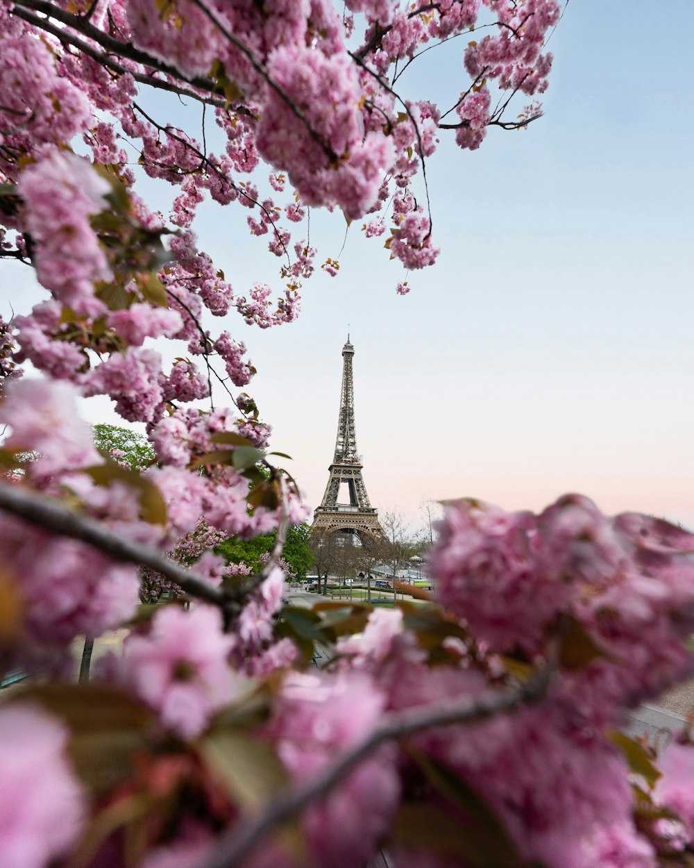 a view of the eiffel tower from across the river