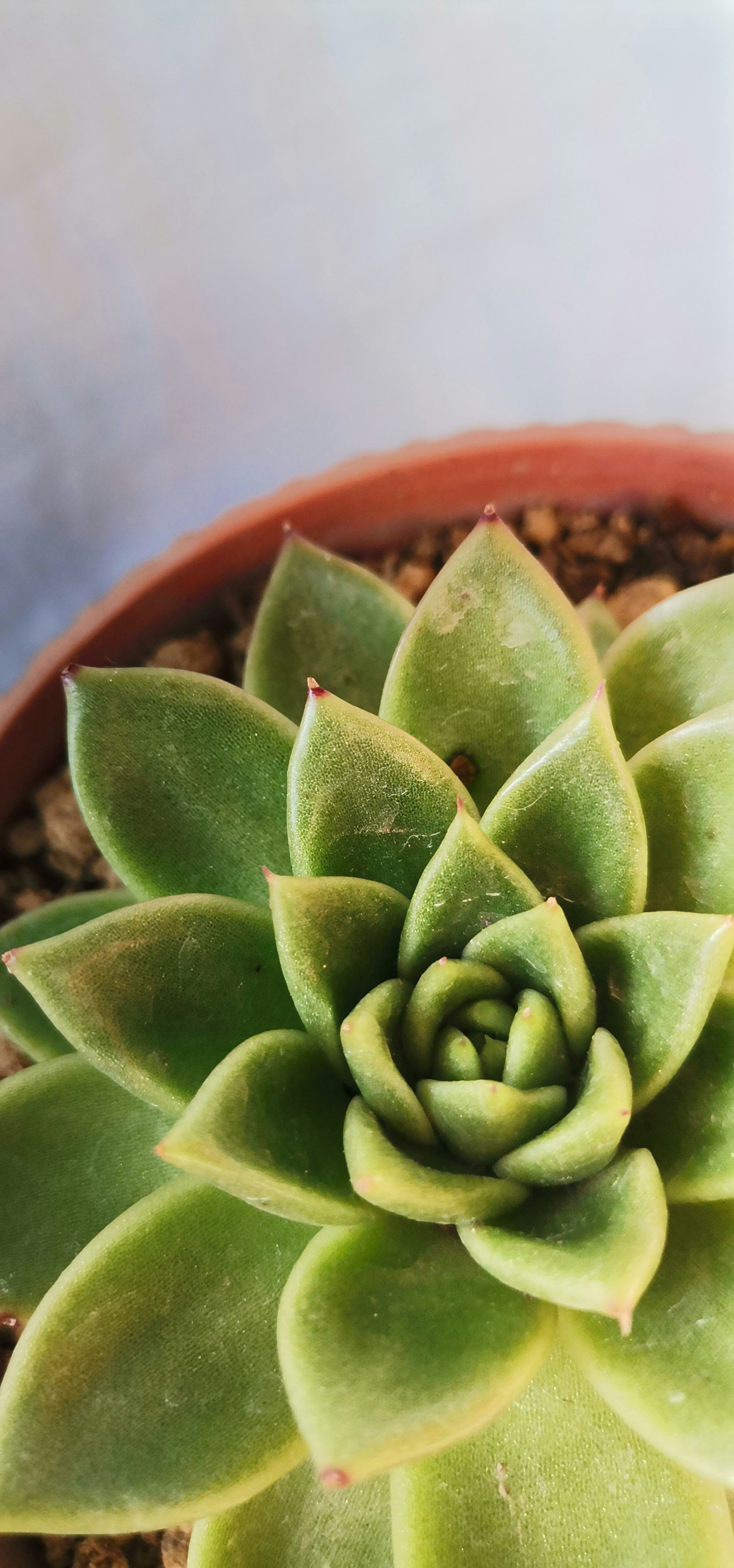 Photo by jamsinklaer7