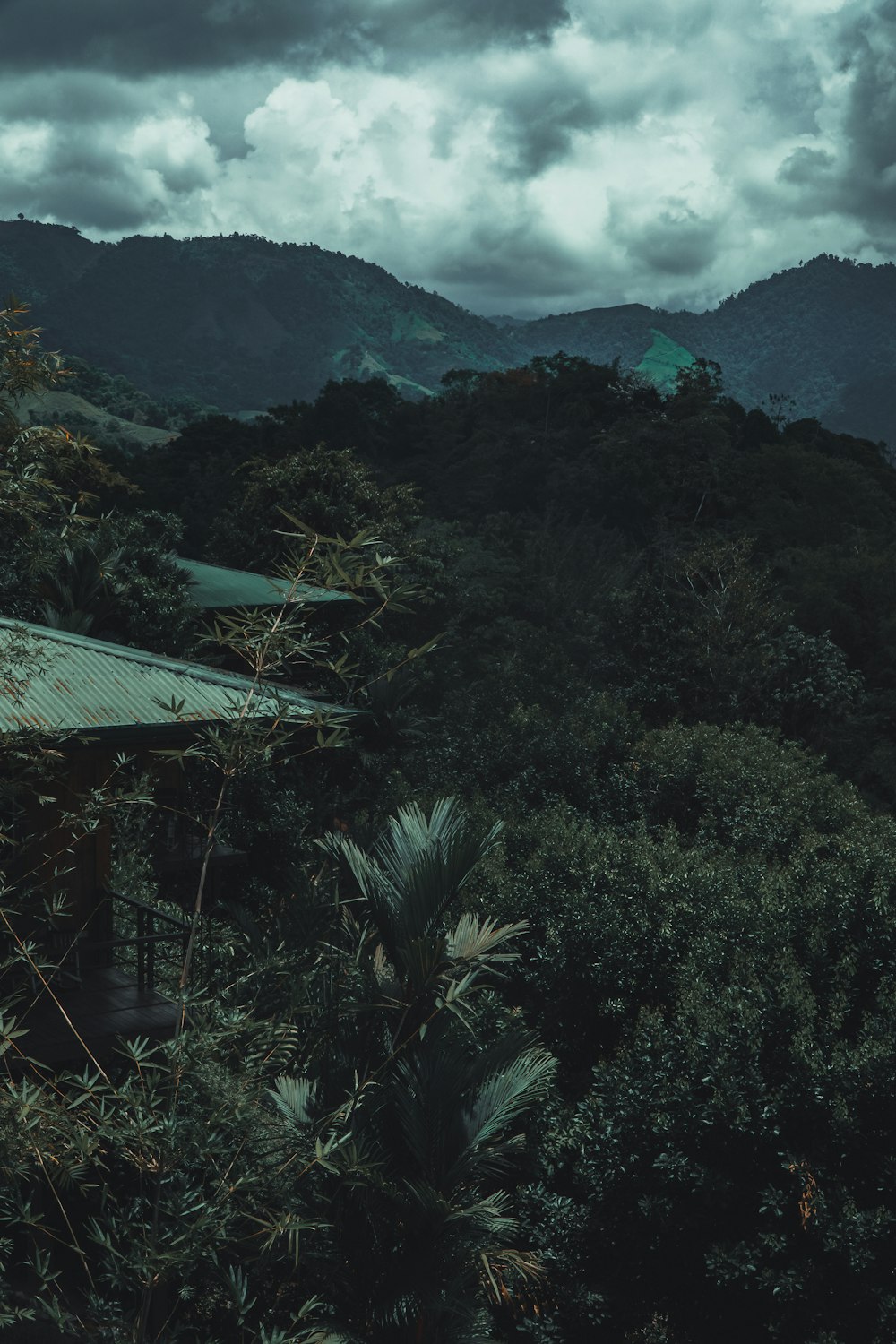 a house in the middle of a forest with mountains in the background