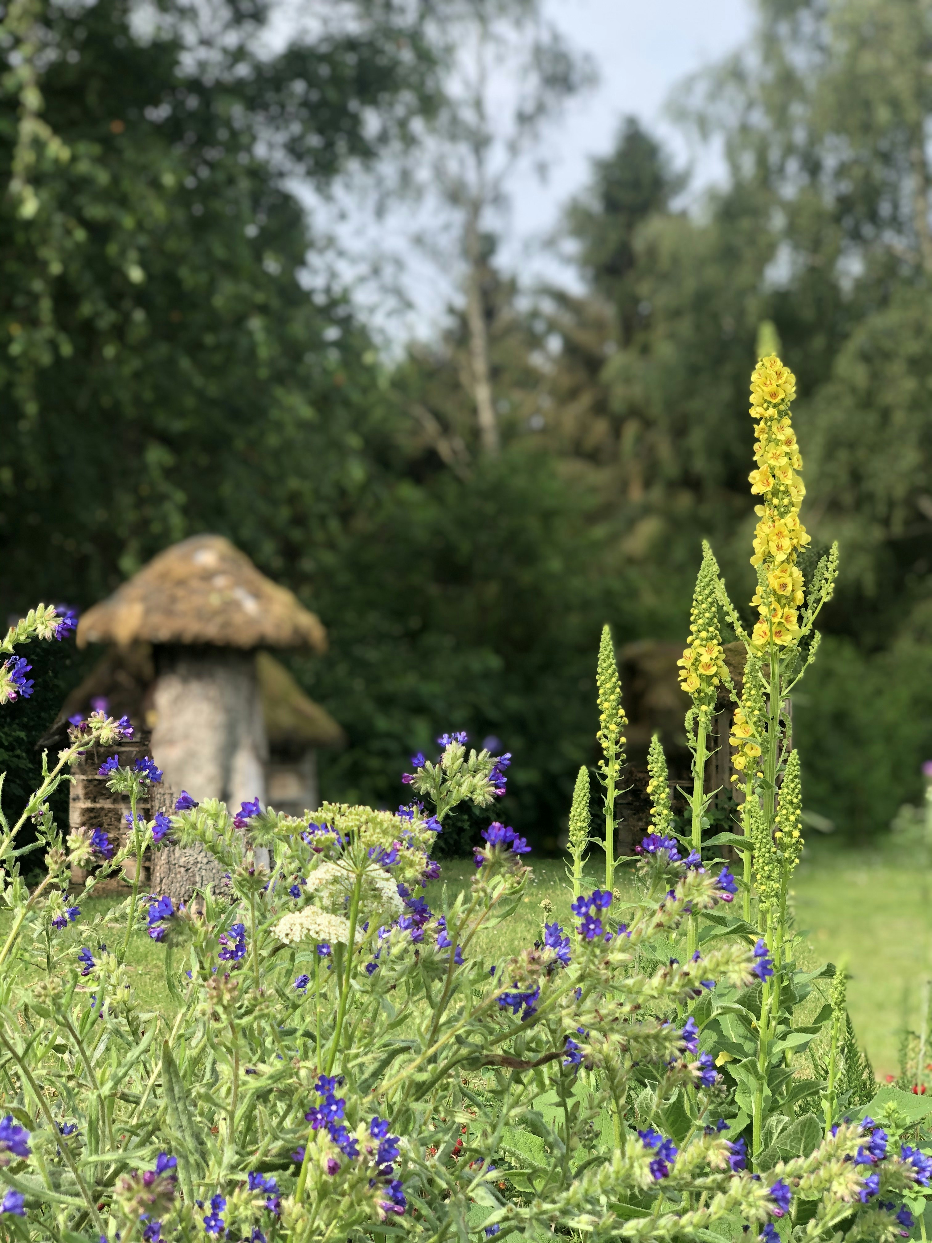 un campo con flores azules y amarillas y una cabaña al fondo