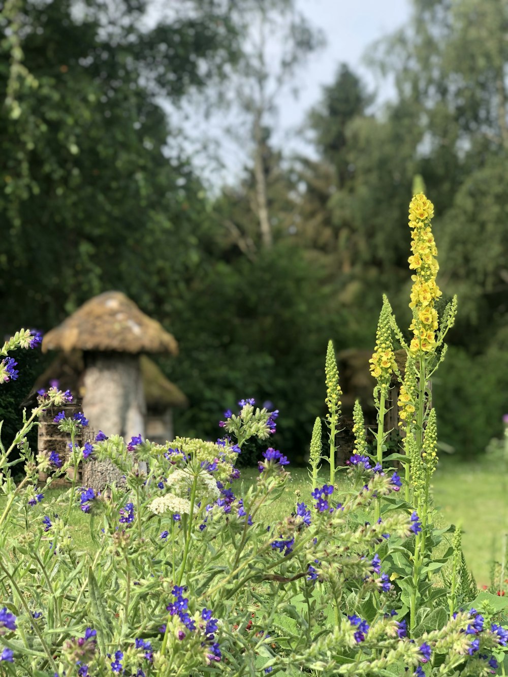 a field with blue and yellow flowers and a hut in the background