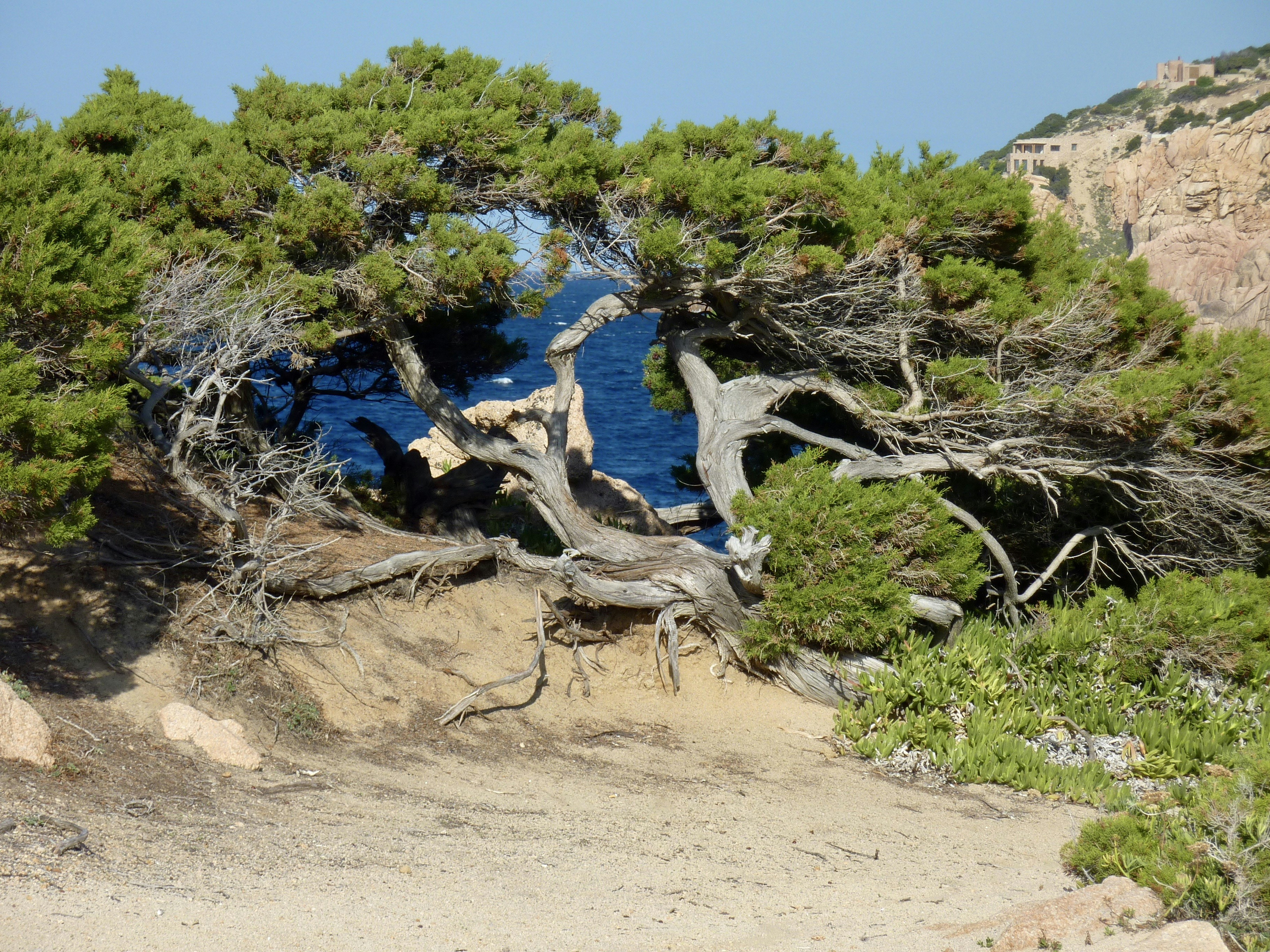 Photo by sardinien_blog