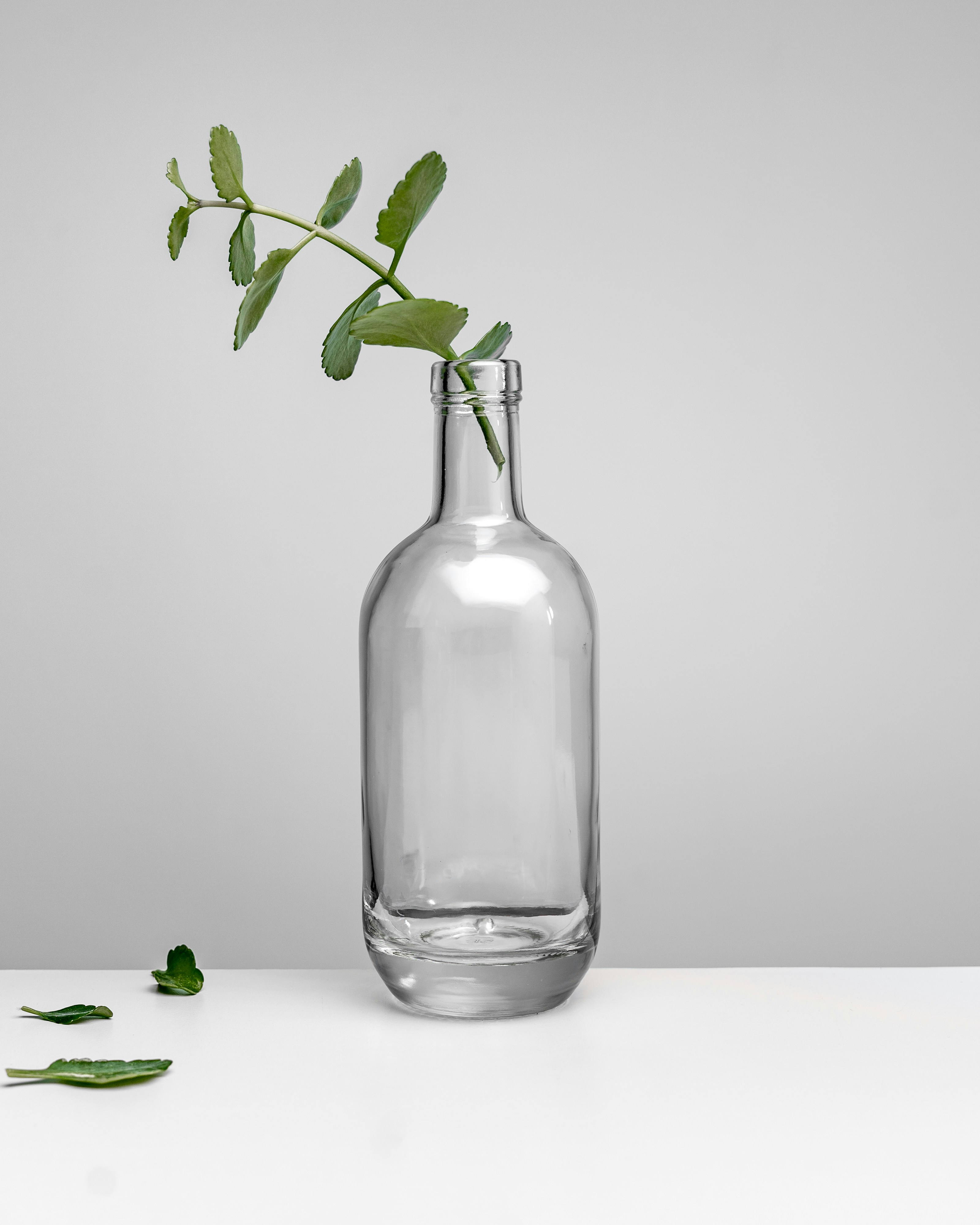 Photo by masoodaslami