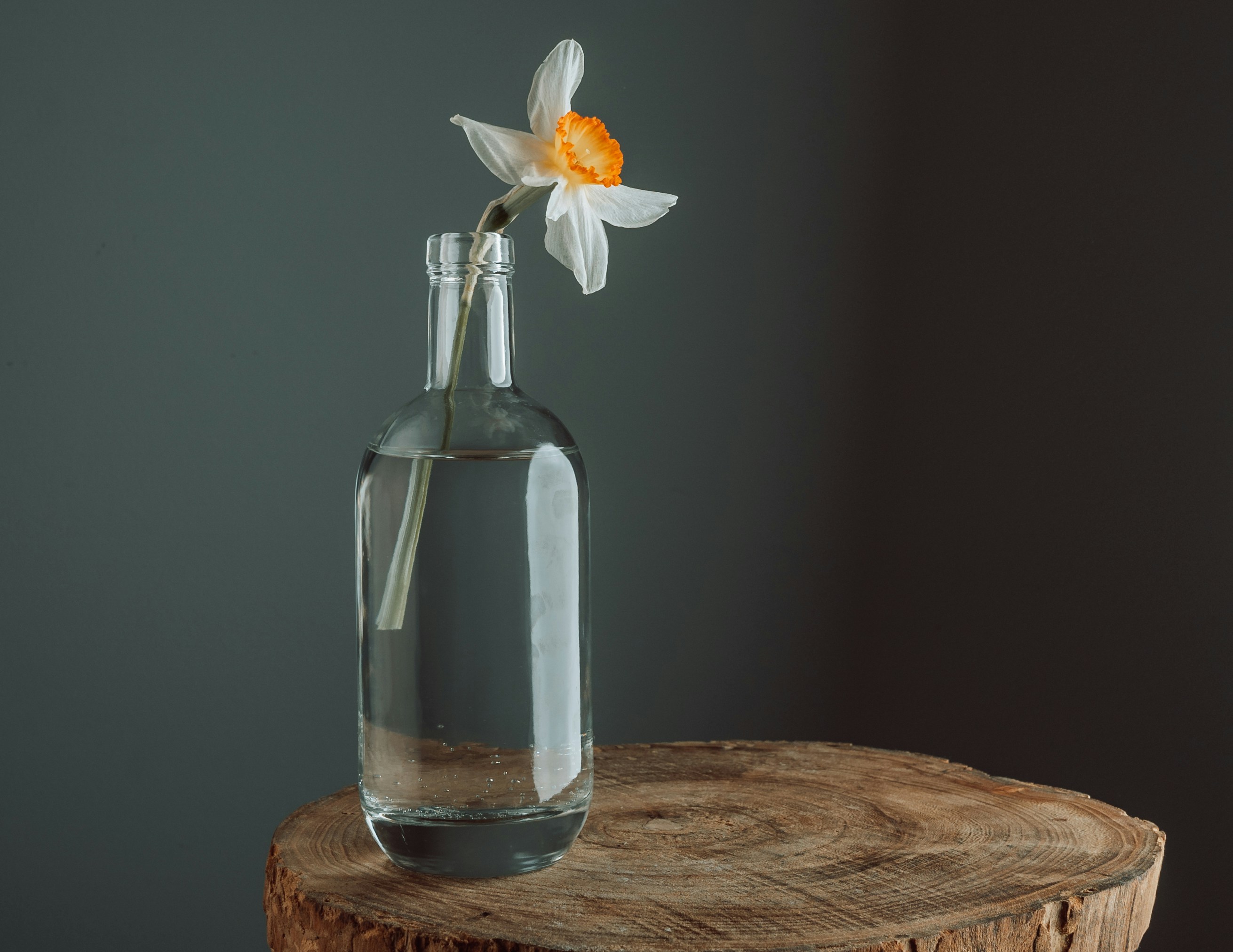 Photo by masoodaslami