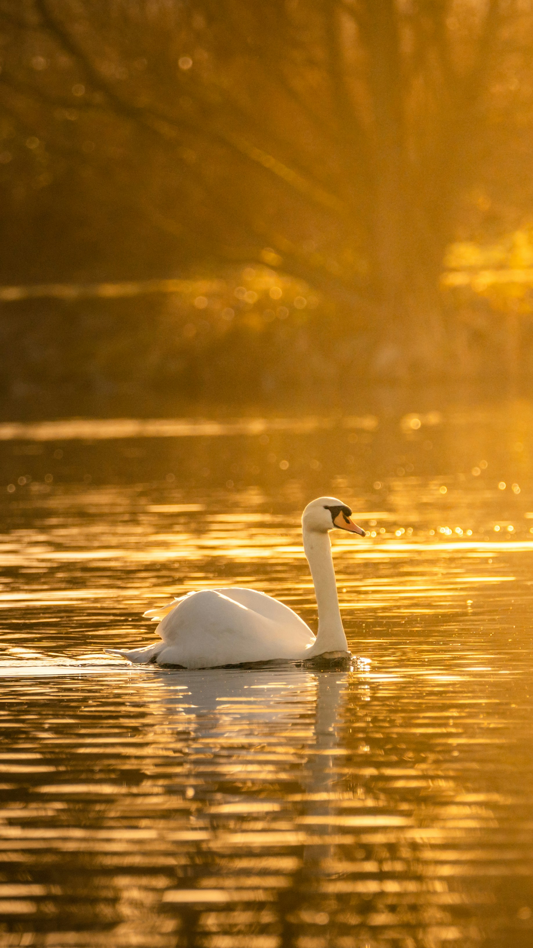 Photo by masoodaslami