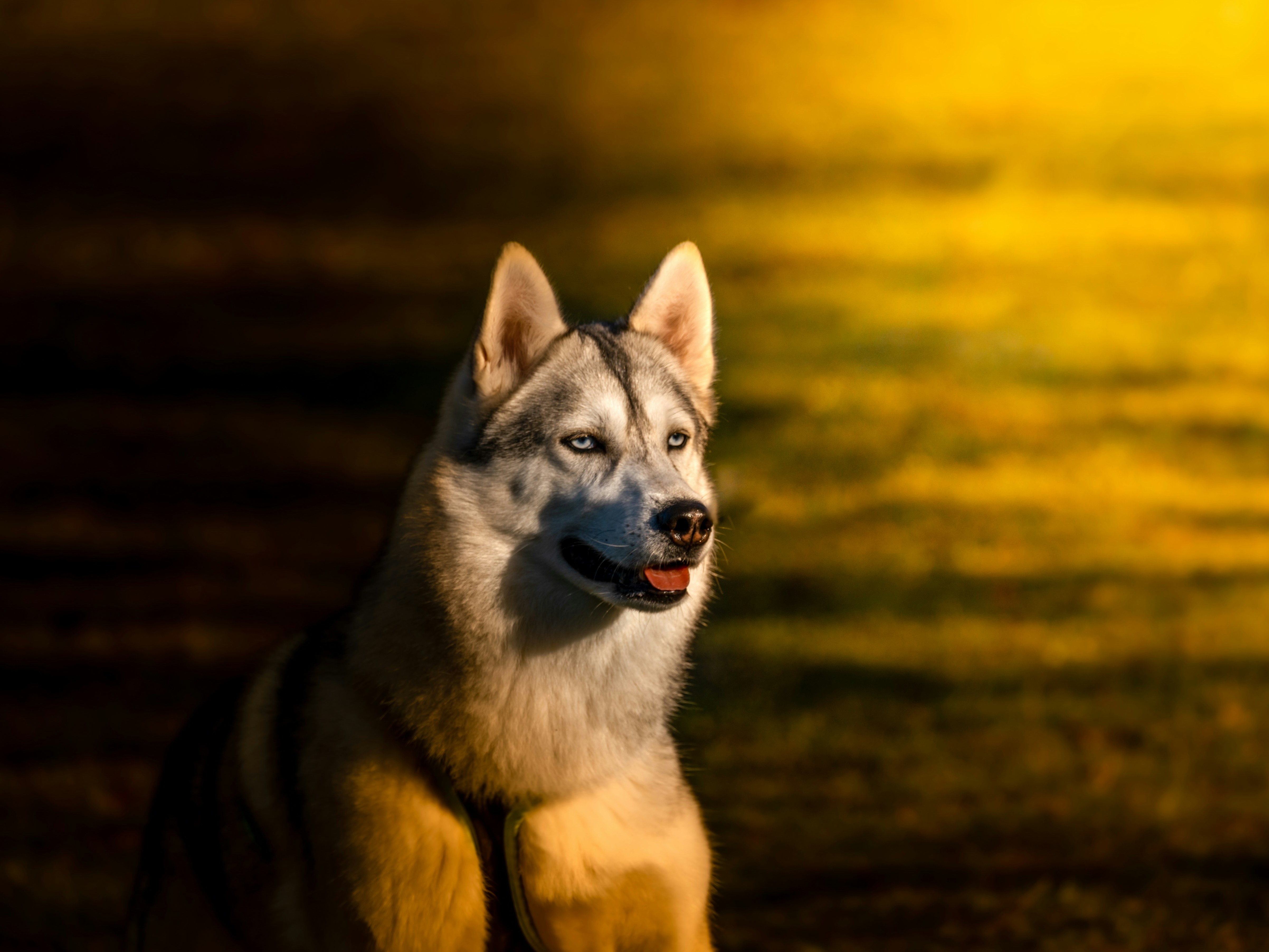 Photo by masoodaslami