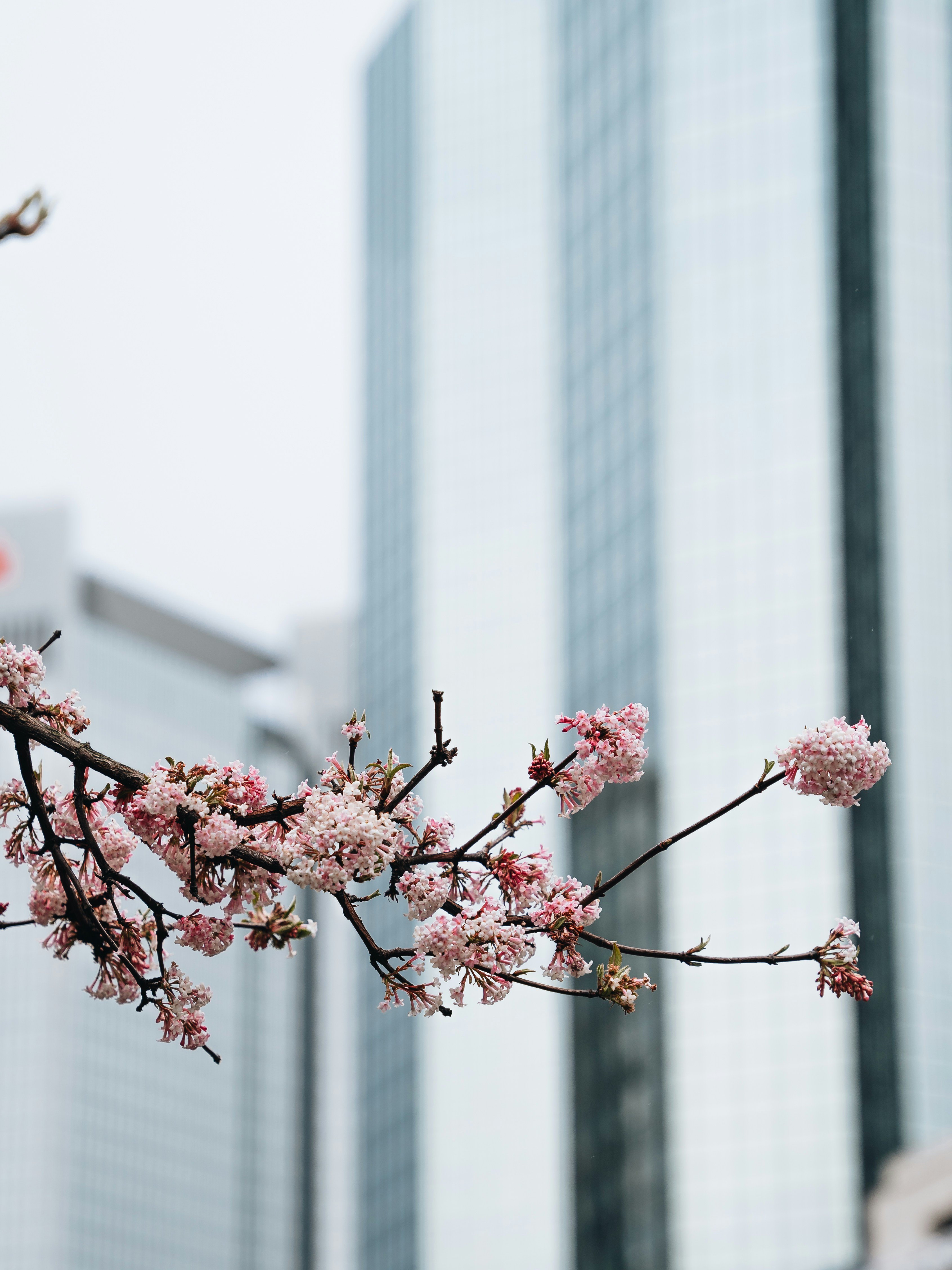 Photo by masoodaslami