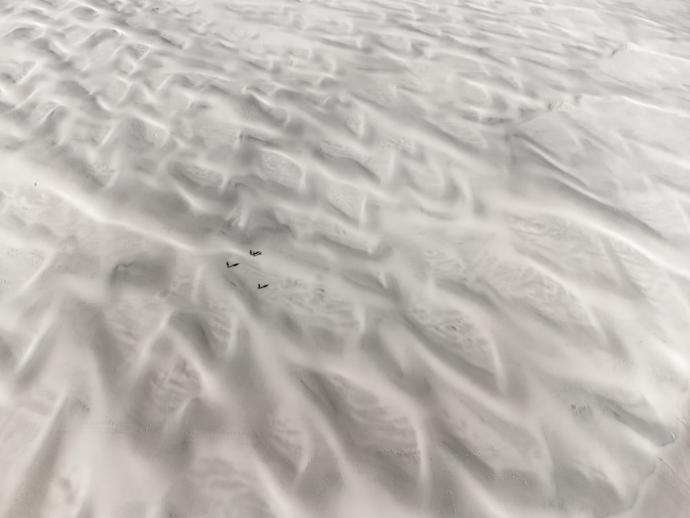 una vista di una spiaggia sabbiosa con impronte nella sabbia