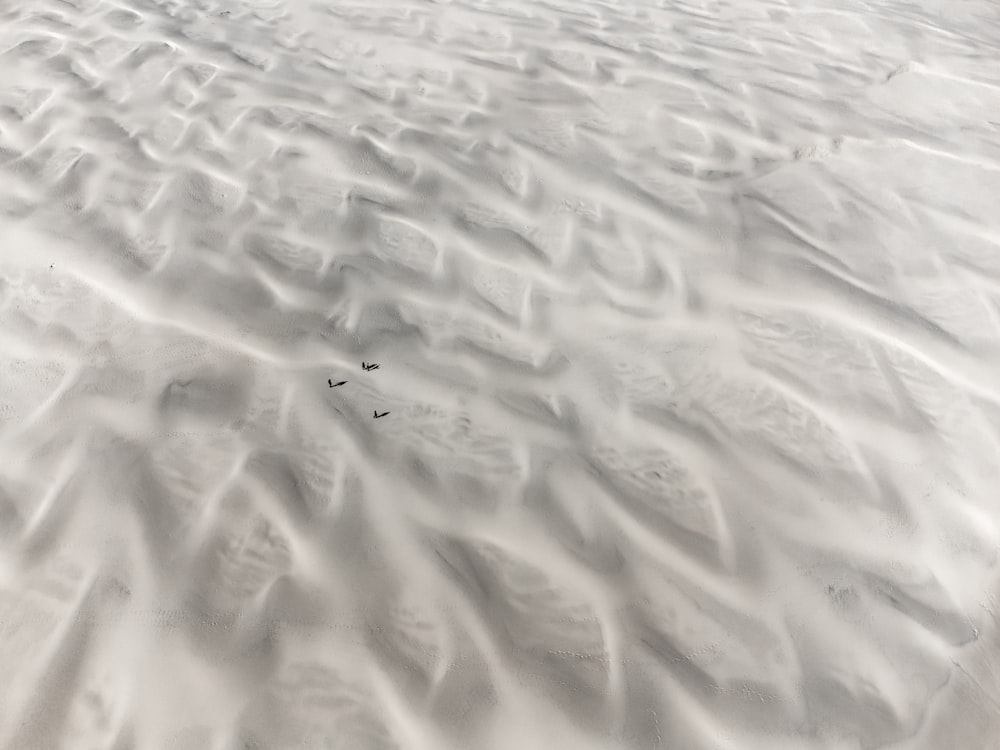 une vue d’une plage de sable avec des empreintes dans le sable