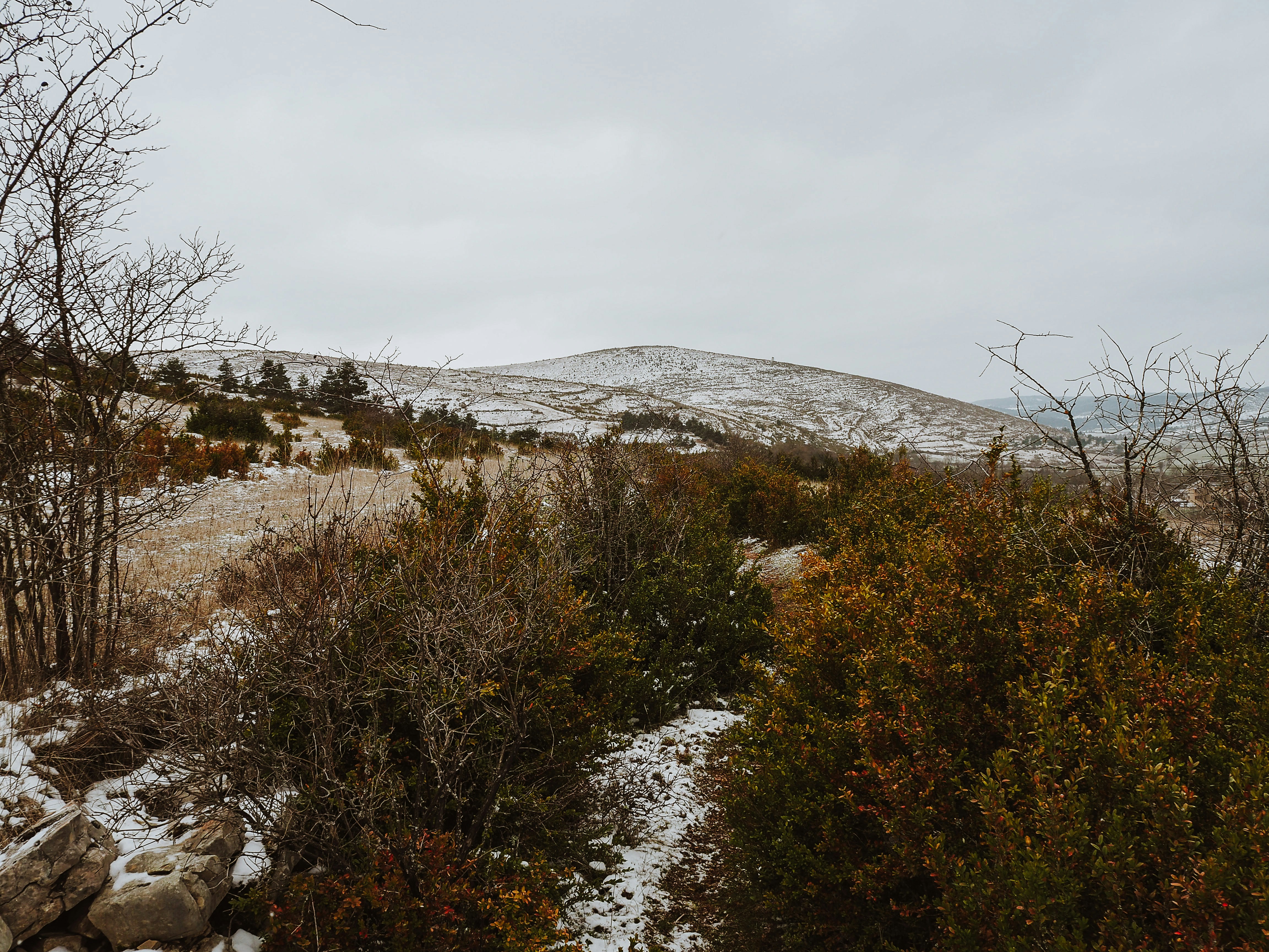 a snow covered hill with trees and bushes in the foreground