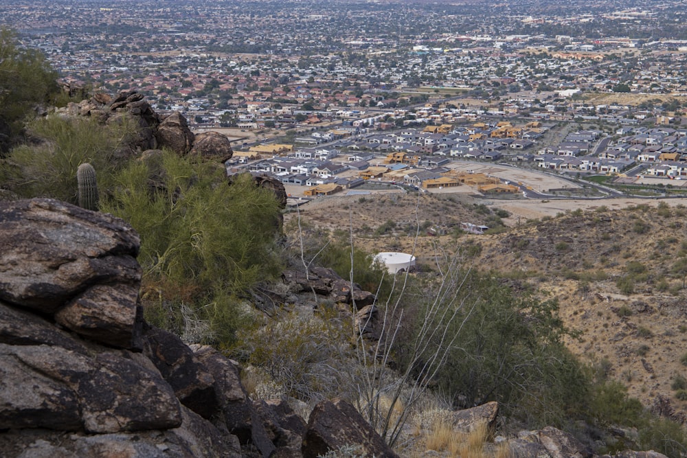 a view of a city from the top of a hill