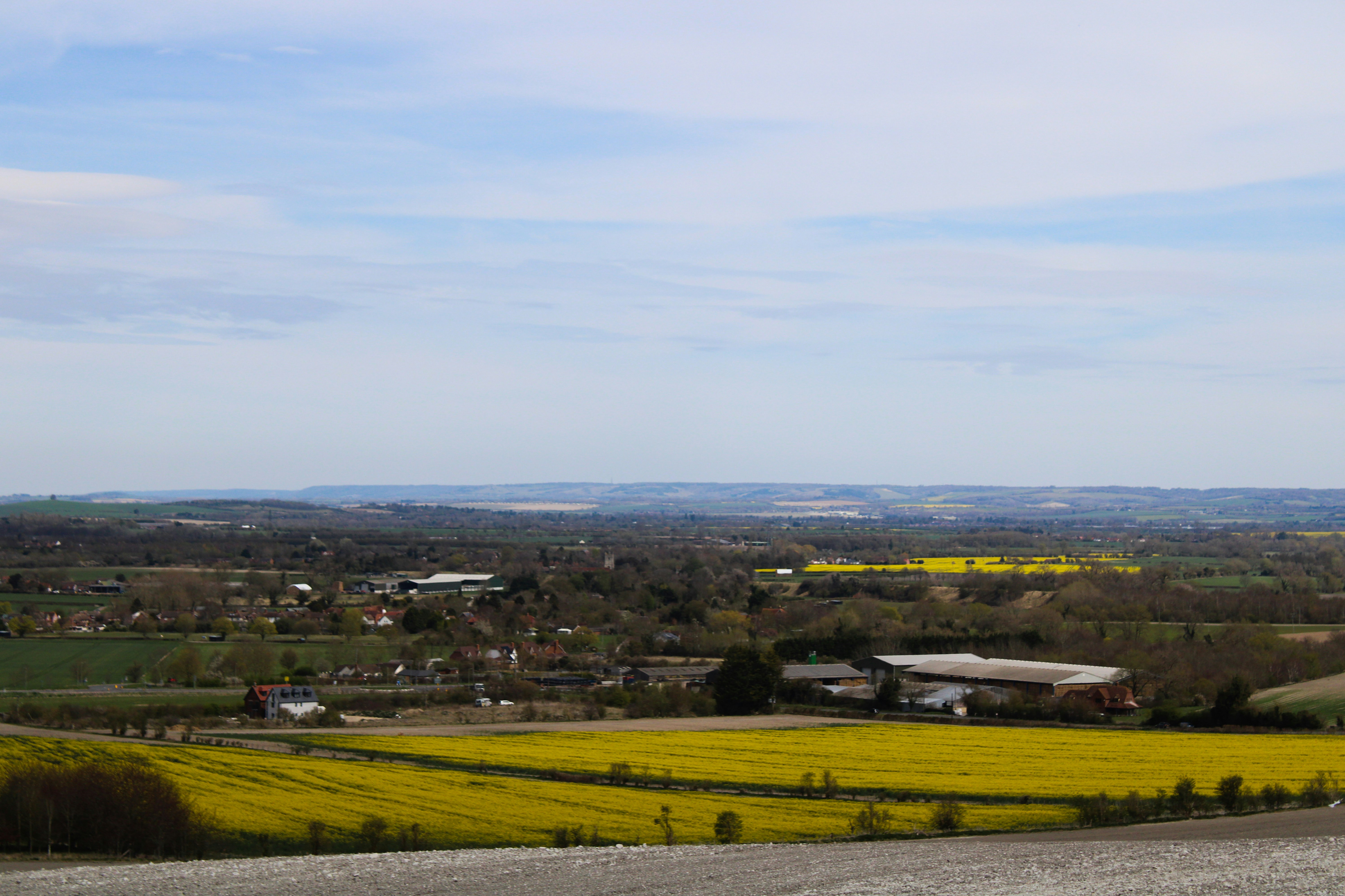 Photo by balesphotographyco