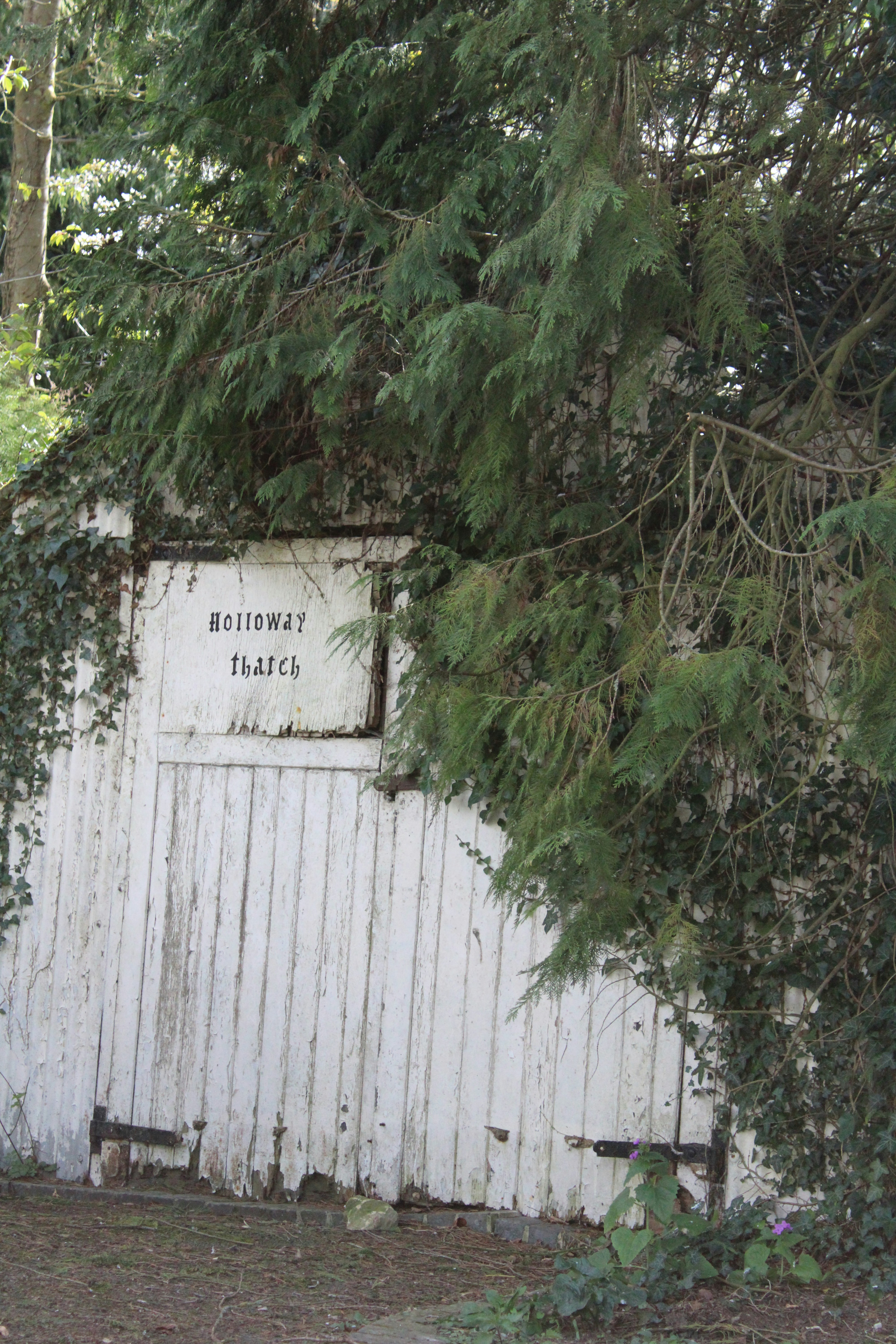 Photo by balesphotographyco