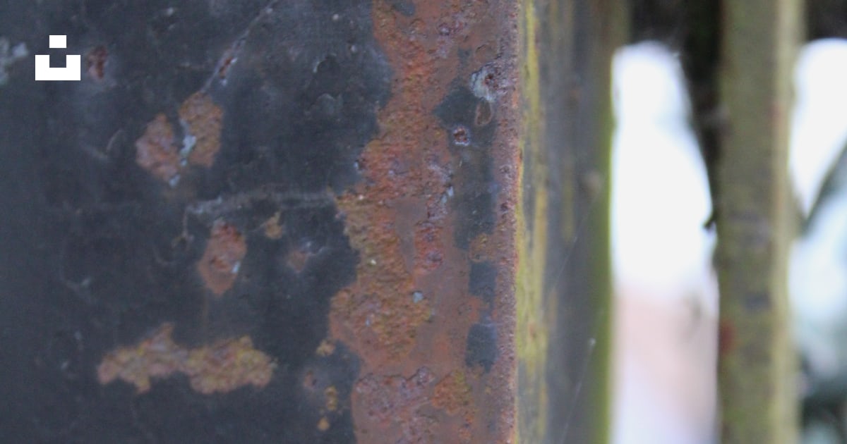 A close up of a rusted metal fence photo – Free Rusty metal Image on ...