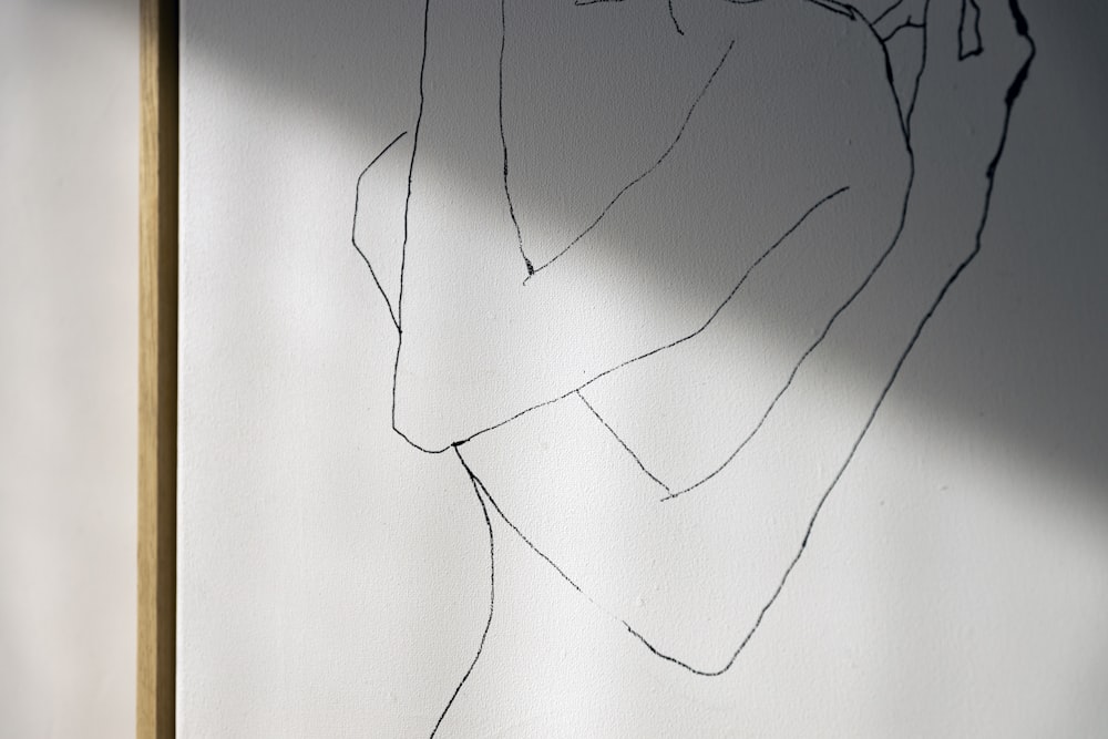 a drawing of a woman's body is shown on a wall