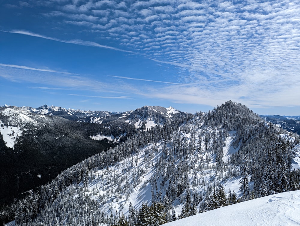 a view of a snowy mountain with trees on it