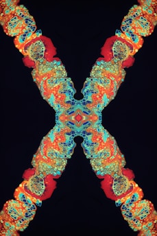 an abstract image of the letter x