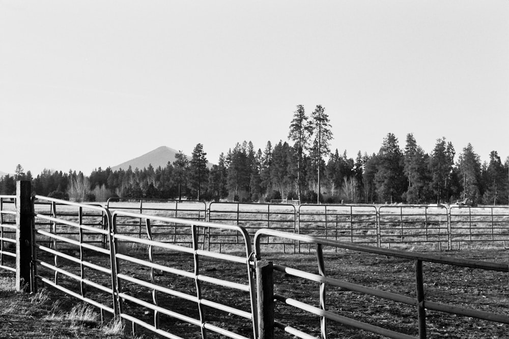 a black and white photo of a fence in a field