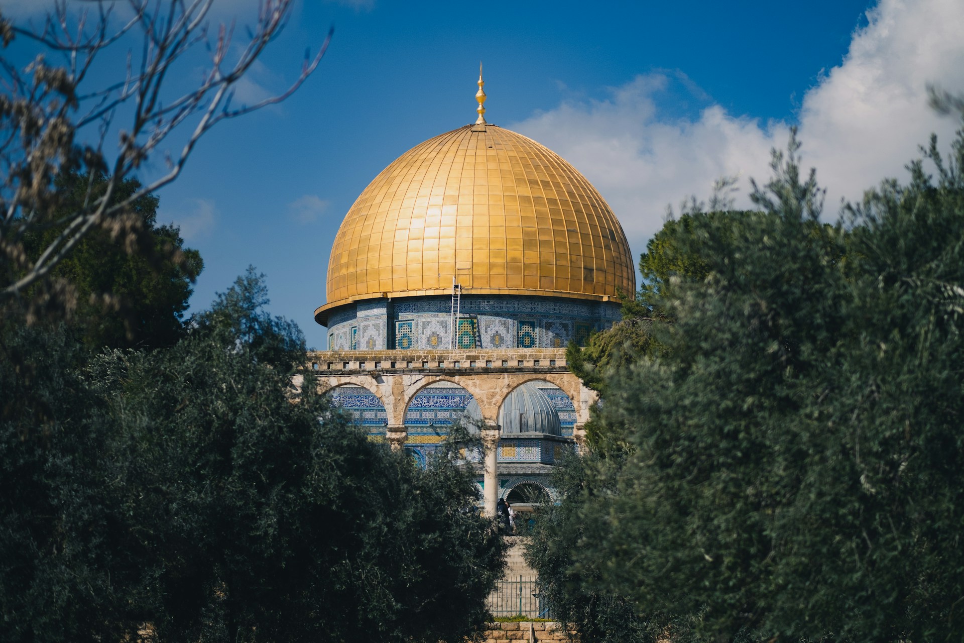 a dome on top of a building surrounded by trees