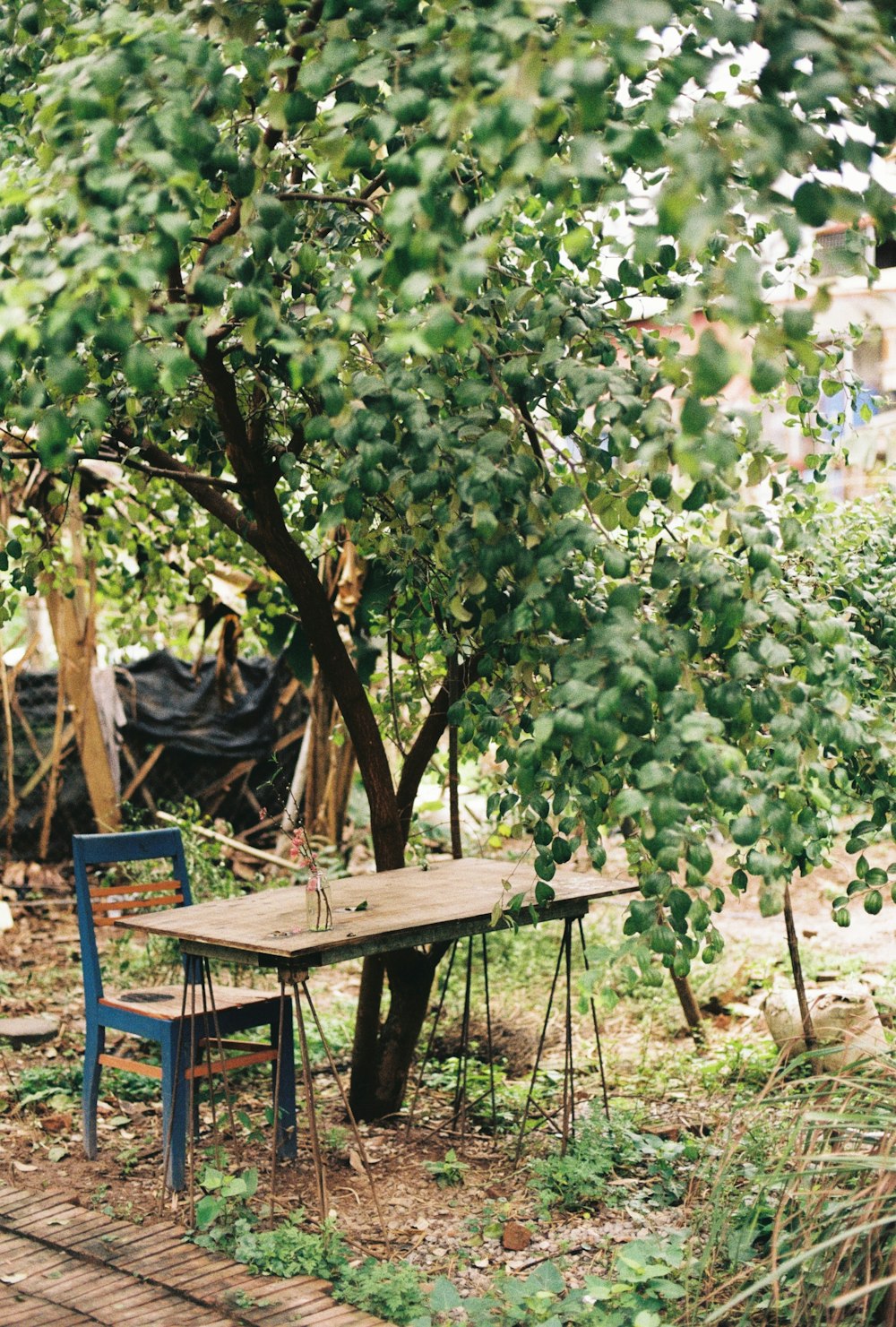 a wooden table and chair under a tree