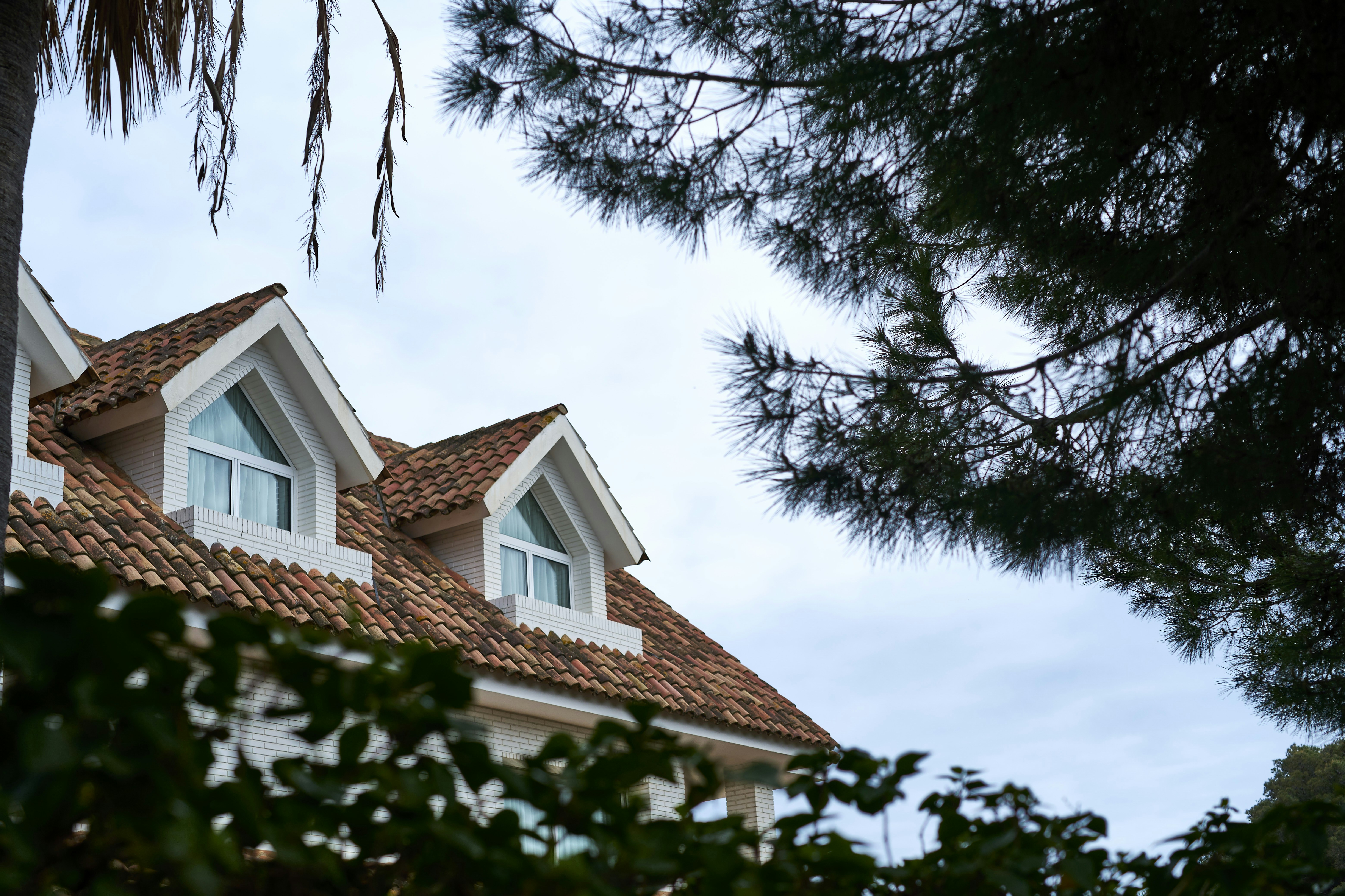 Photo by aleksandar_akr