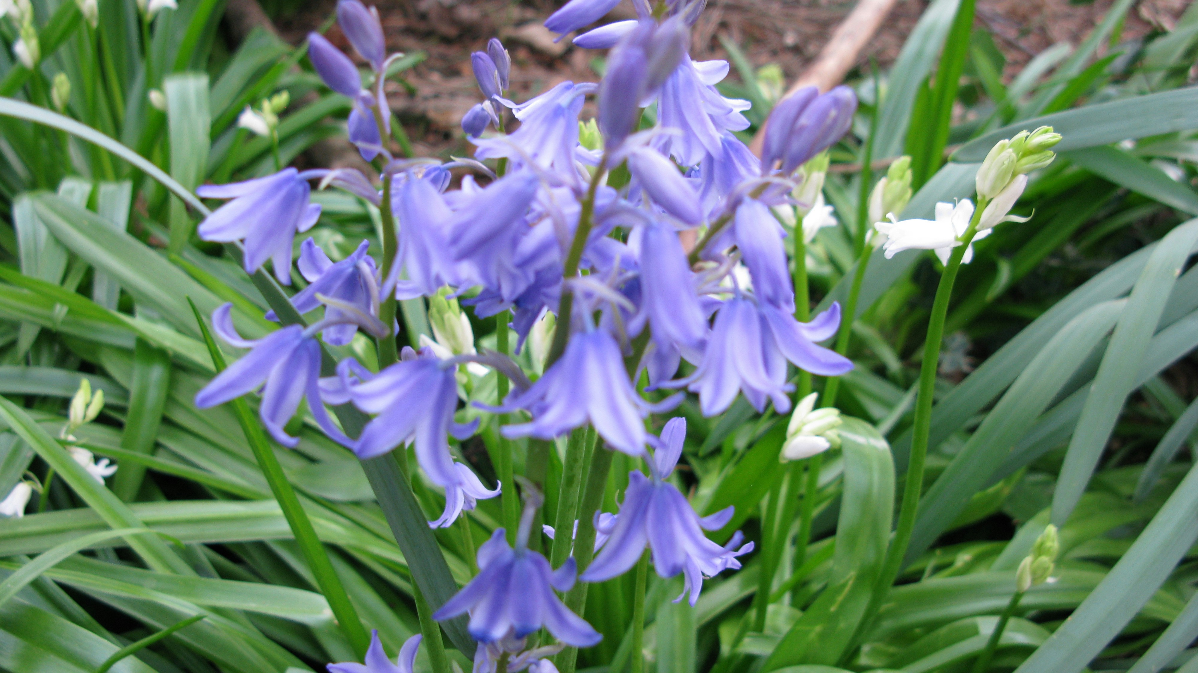 Photo by tom_smeeton