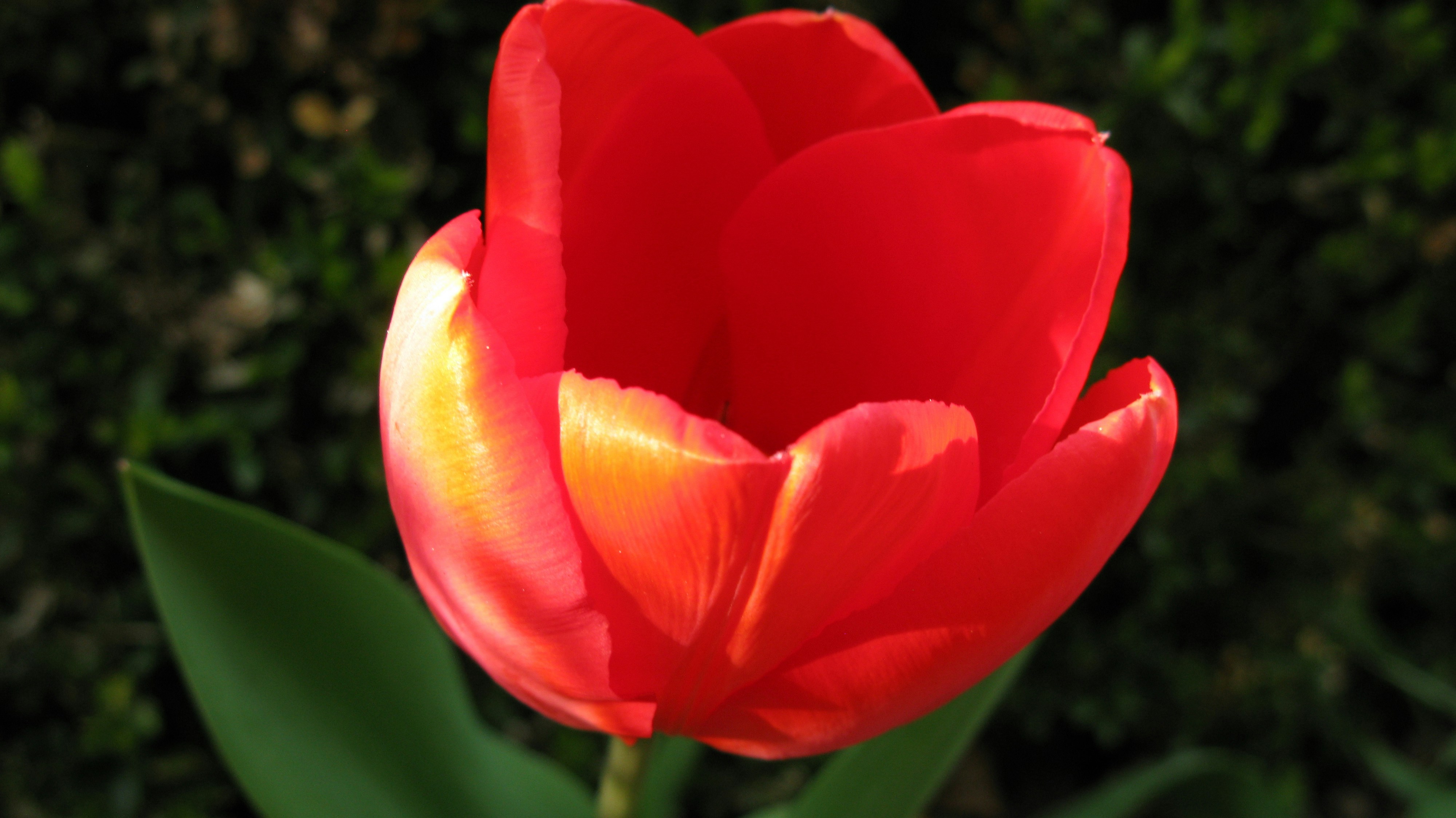 Photo by tom_smeeton