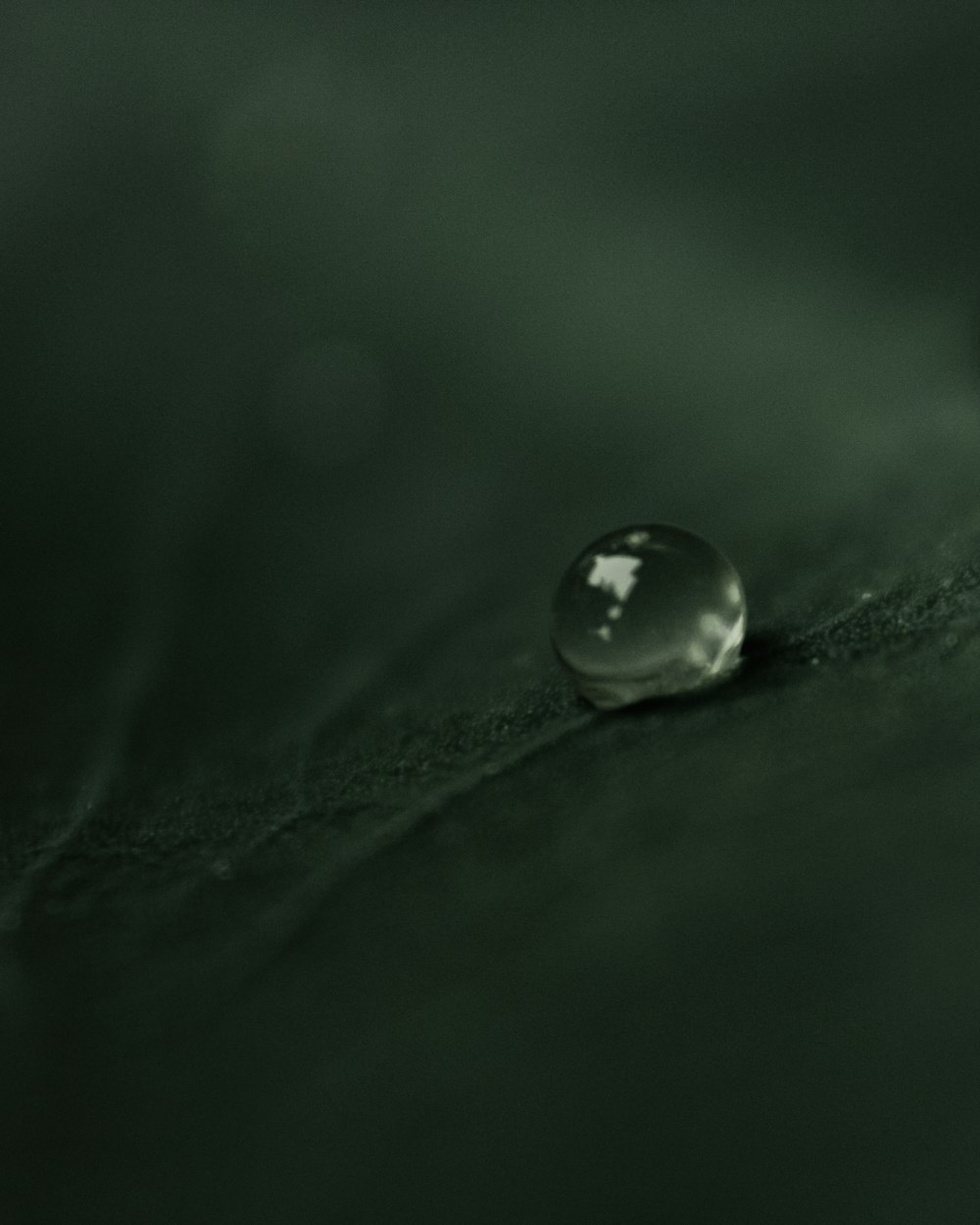 a drop of water sitting on top of a leaf