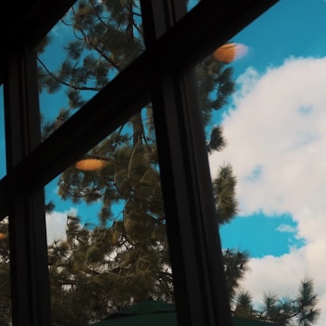Close-up of sparkling clean villa windows with Ibiza pine trees reflected.