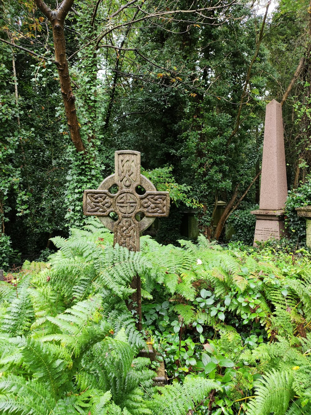 a cross in the middle of a lush green forest