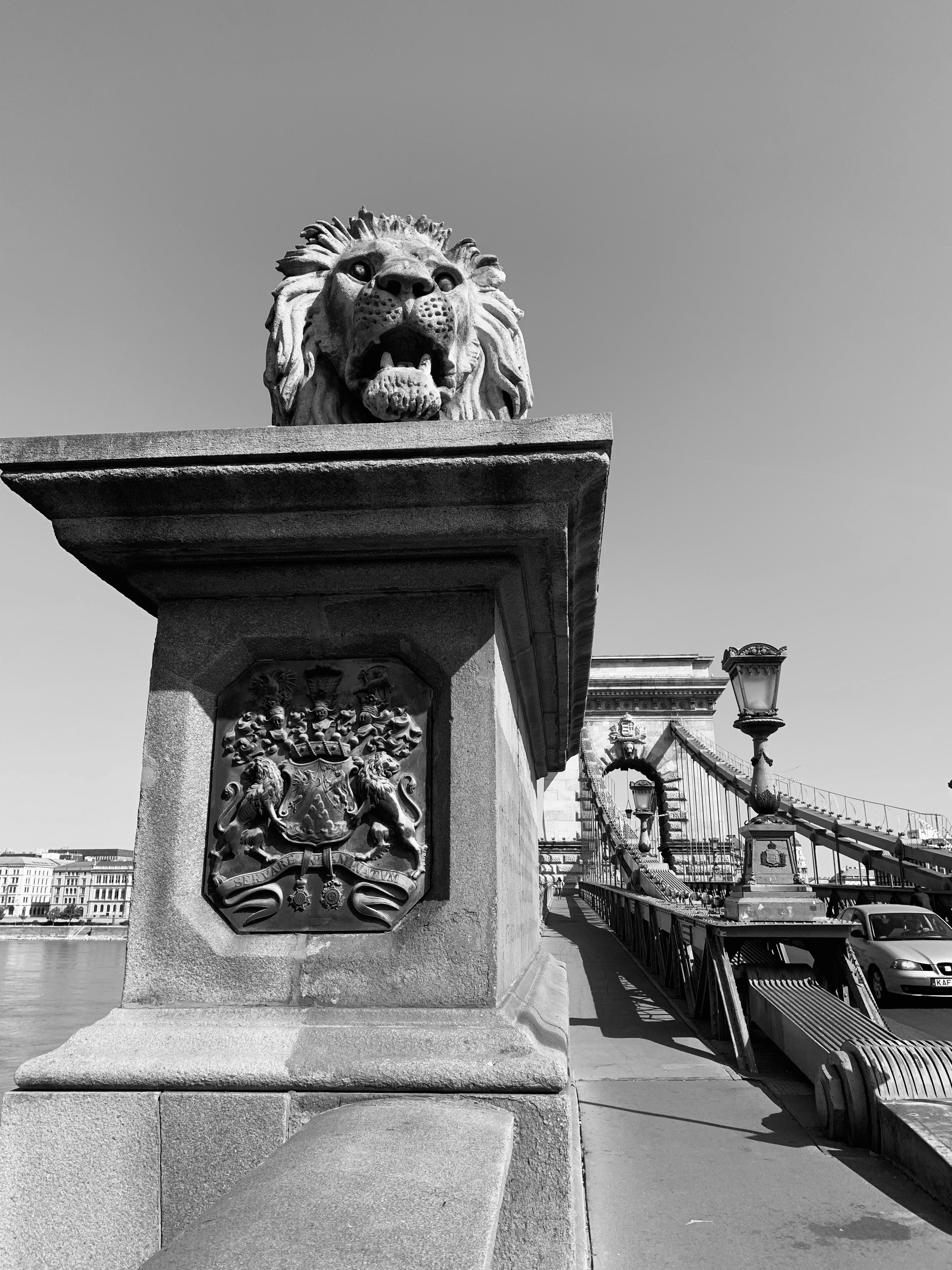 a black and white photo of a statue of a lion