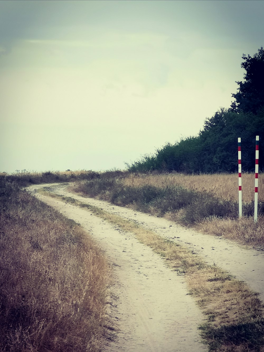 a dirt road with a sign on the side of it