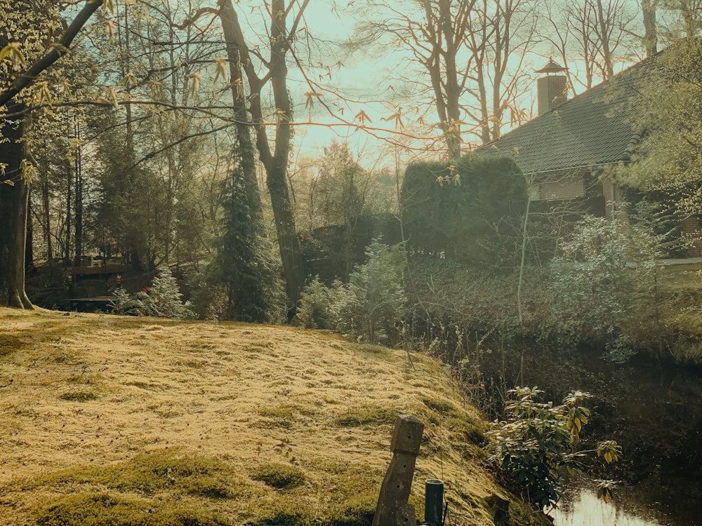 an old photo of a house in the woods