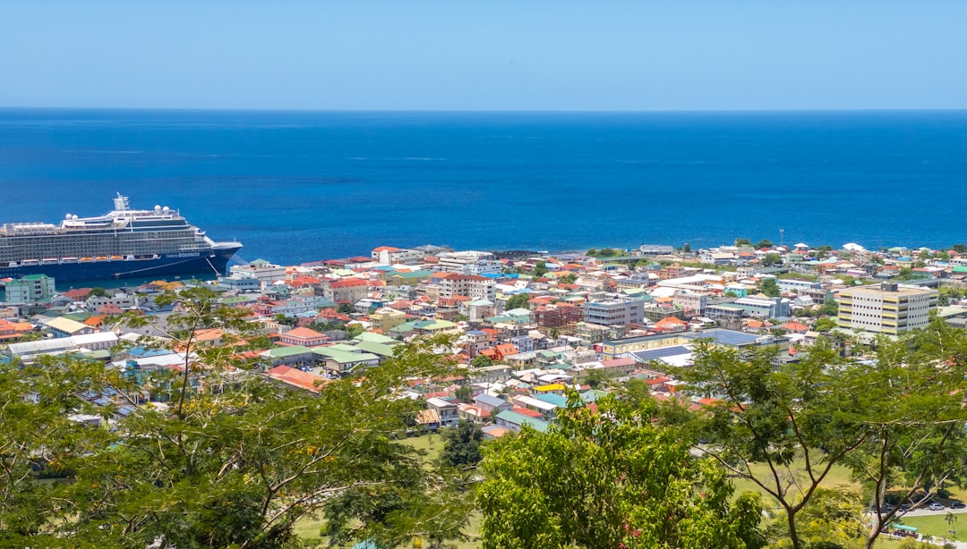 a cruise ship is docked in the water near a city, The View Of Roseau